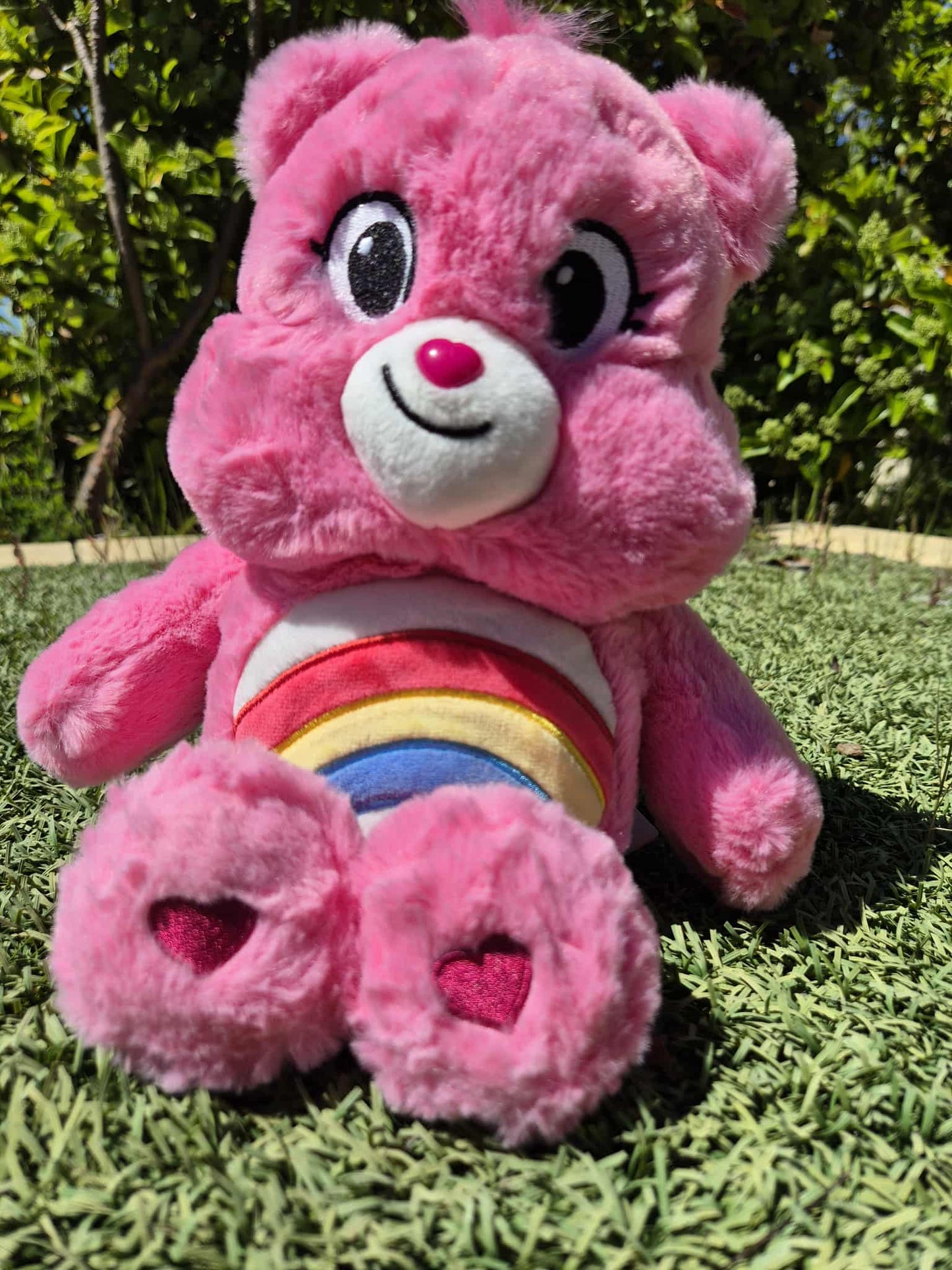 C BEAR TEDDIES