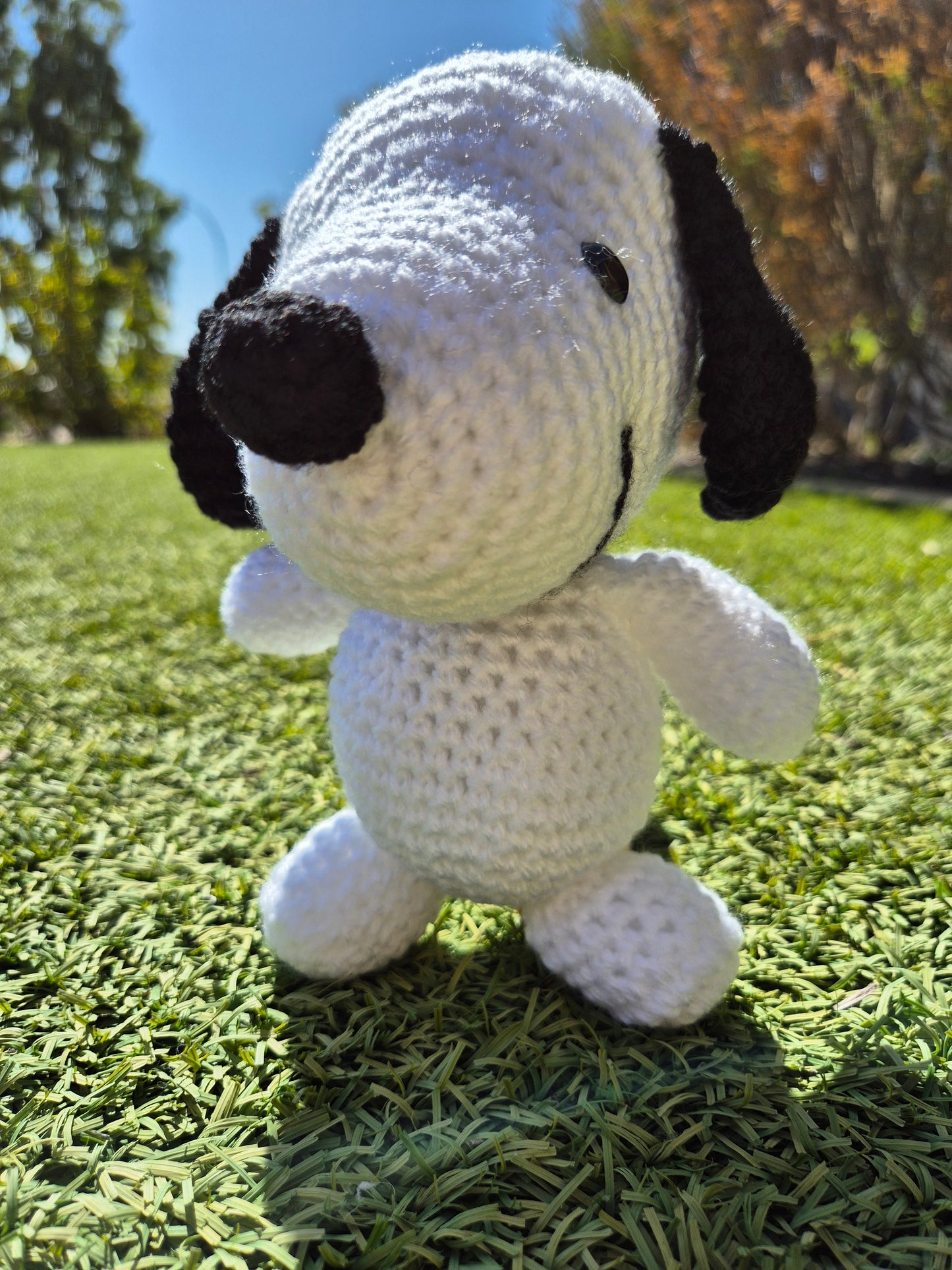 Crochet snoop