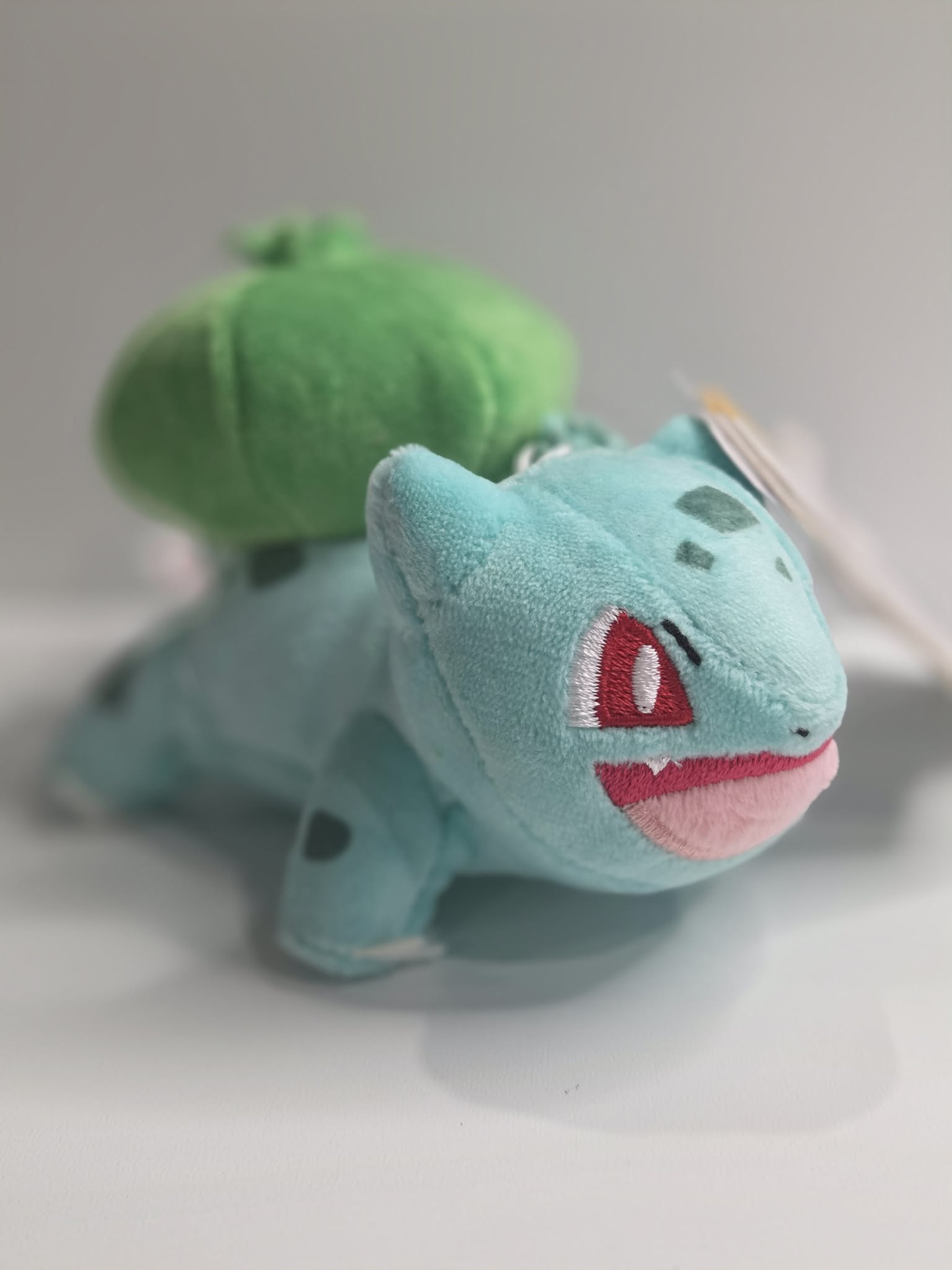 CATCH EM ALL KEYCHAINS