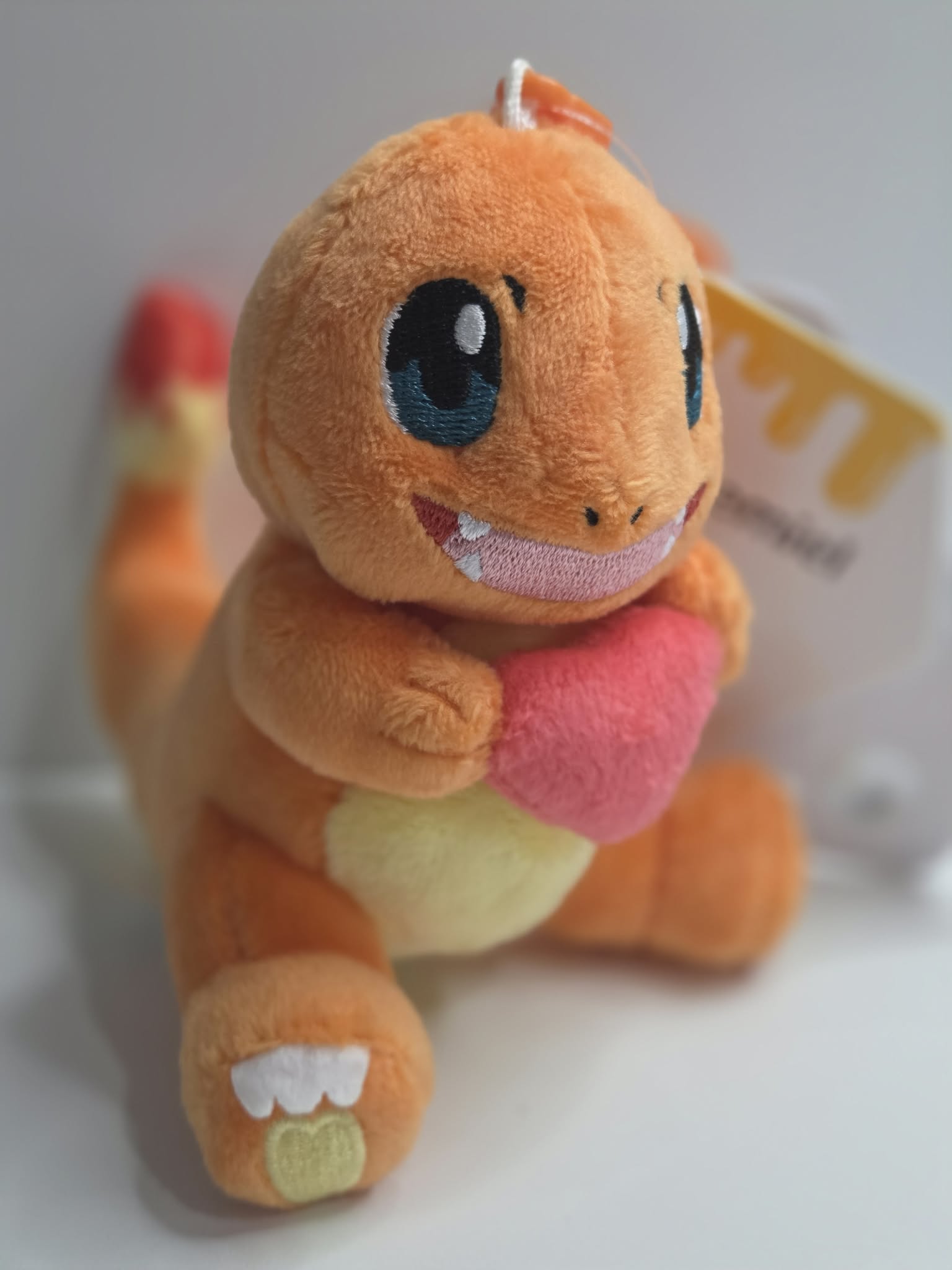 CATCH EM ALL KEYCHAINS