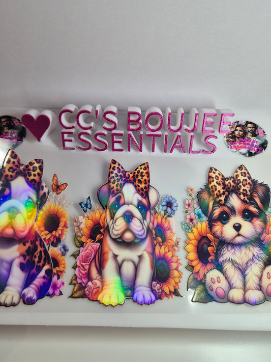 3 DOGS CATALOUGE HOLOGRAPHIC WRAP