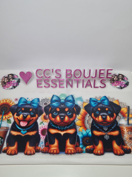 3 ROTTWEILER BLUE BOW #WRAP