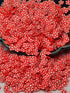 CLAY PIECES RED FLOWERS