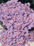 CLAY PIECES PURPLE FLOWERS