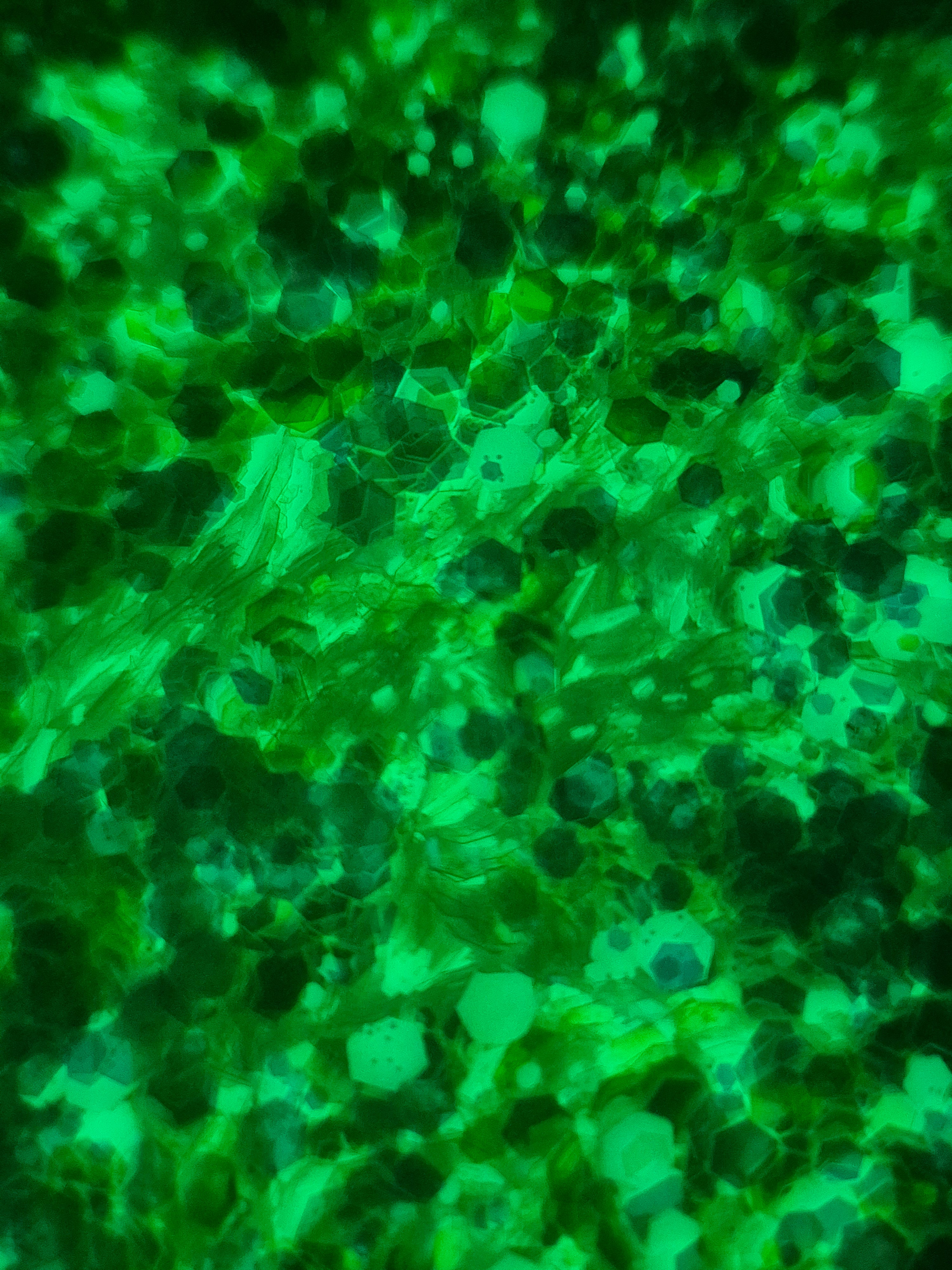 GREEN GLOW IN THE DARK GLITTER