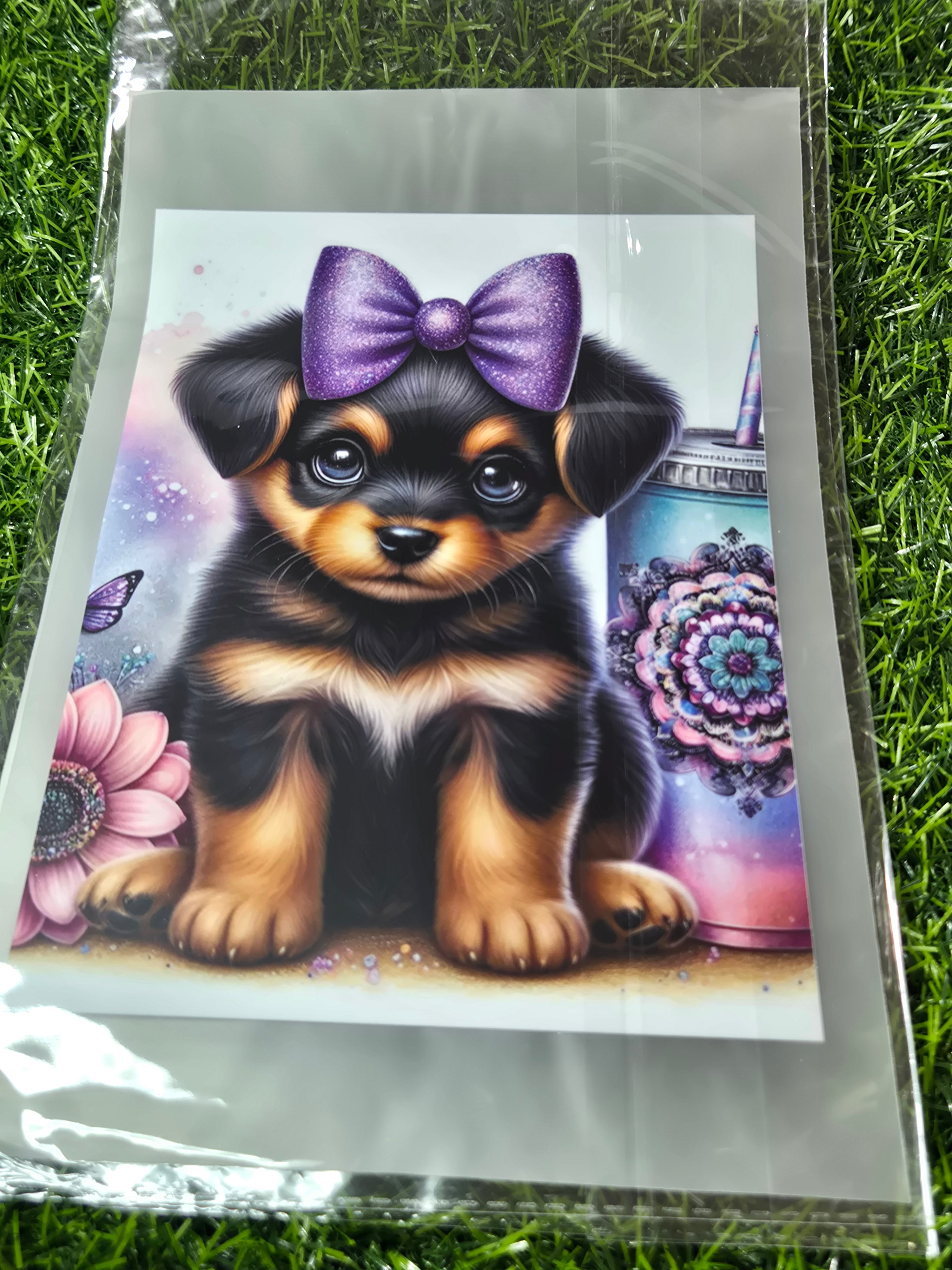 KIDS HEAT TRANSFER #14