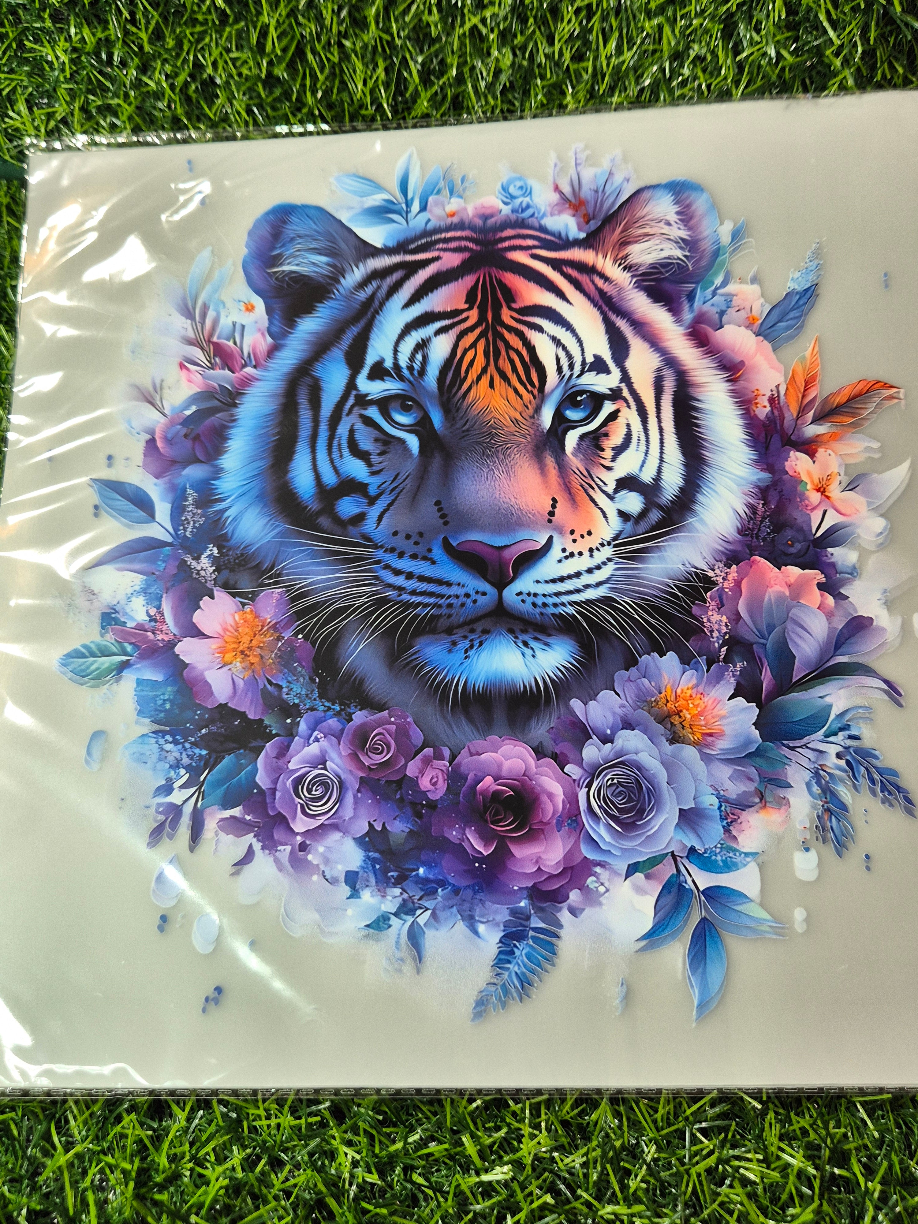 ADULT CATALOGUE HEAT TRANSFER #71