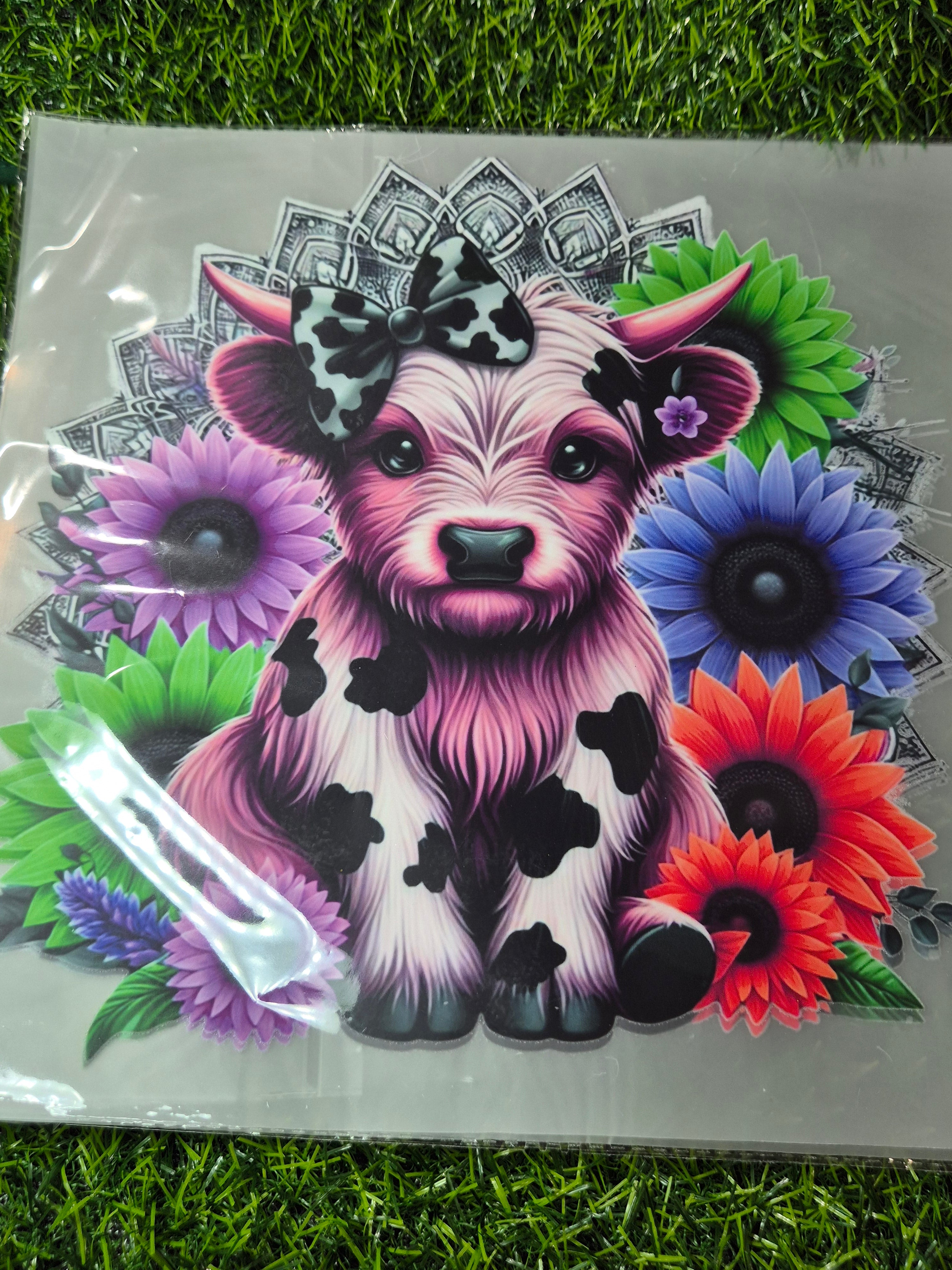 ADULT CATALOGUE HEAT TRANSFER #56