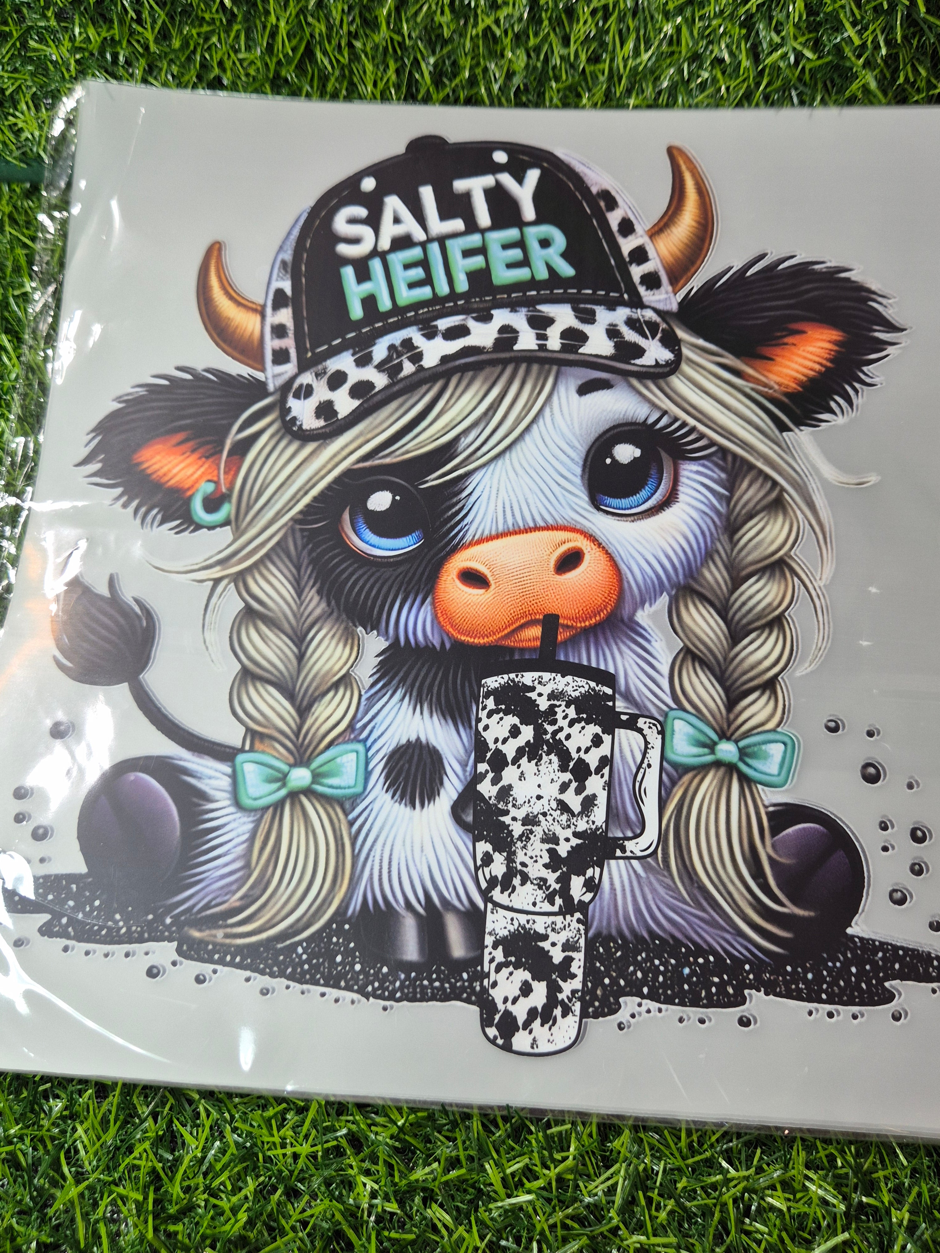 ADULT CATALOGUE HEAT TRANSFER #54