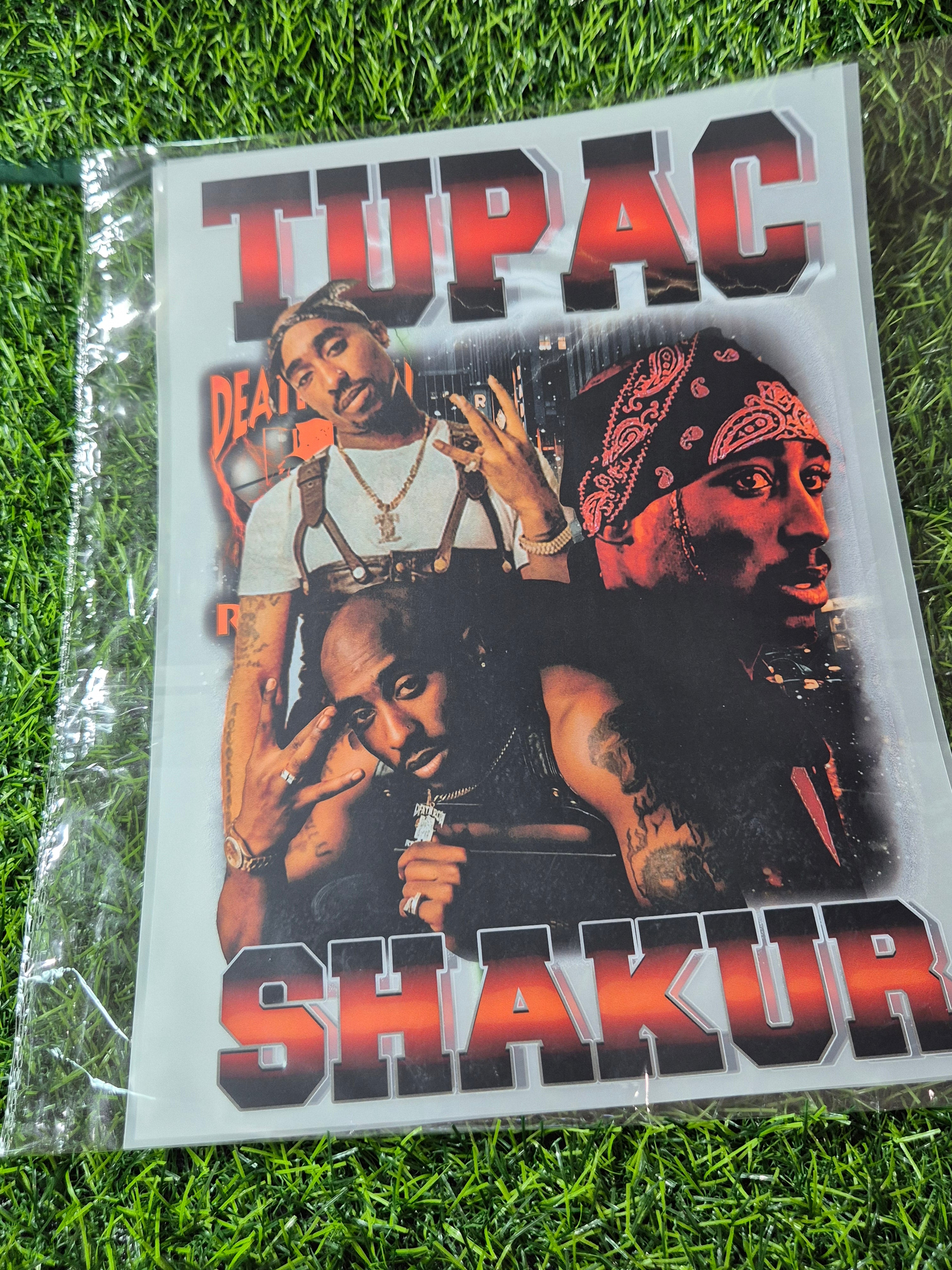 ADULT CATALOGUE HEAT TRANSFER #37