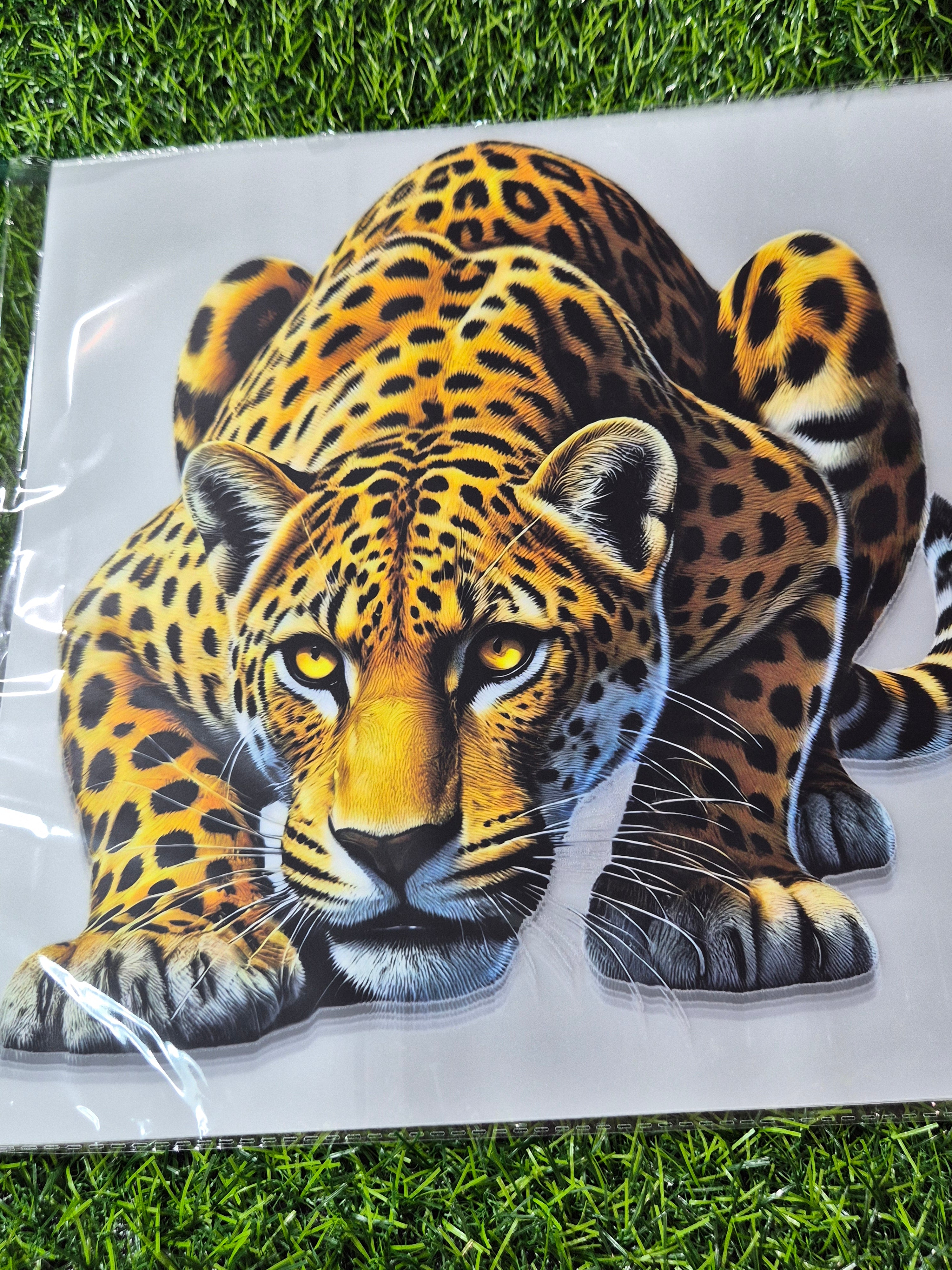 ADULT CATALOGUE HEAT TRANSFER #27