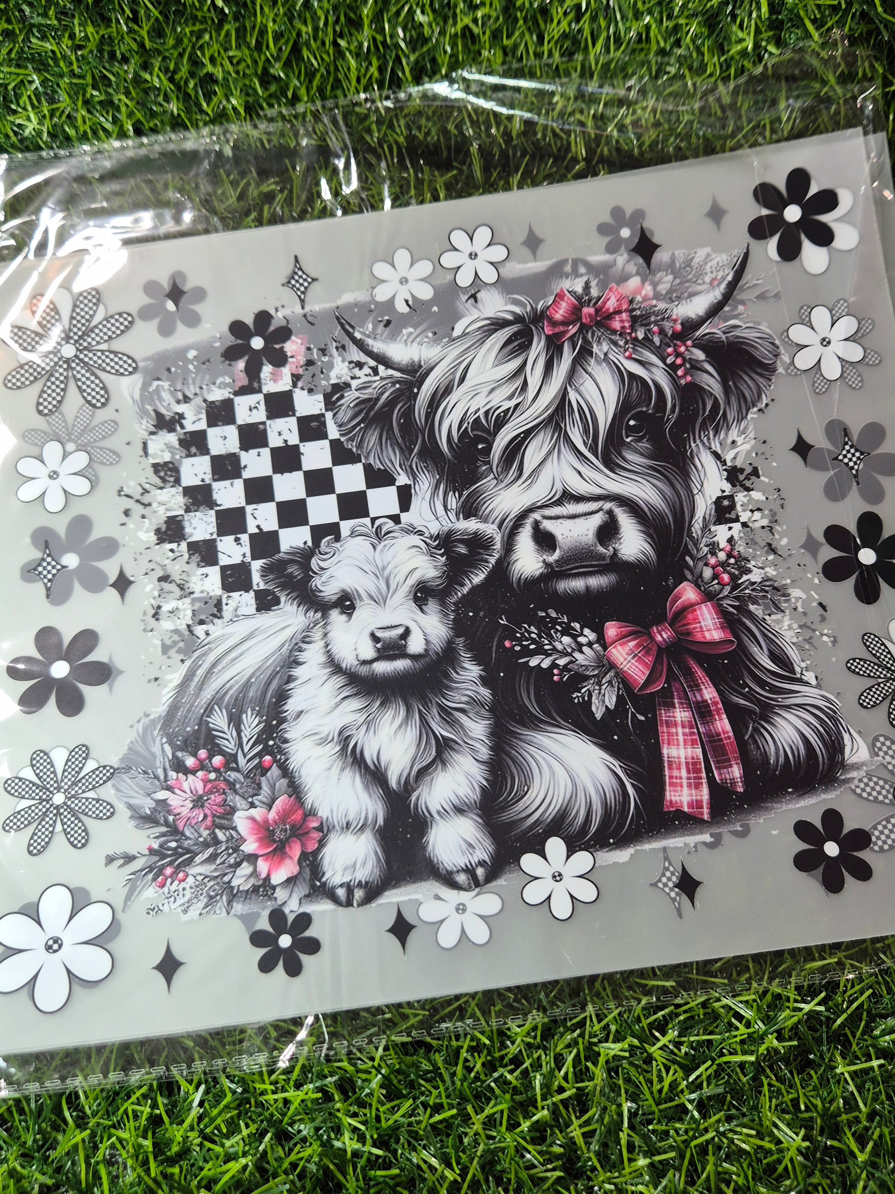 ADULT CATALOGUE HEAT TRANSFER #21