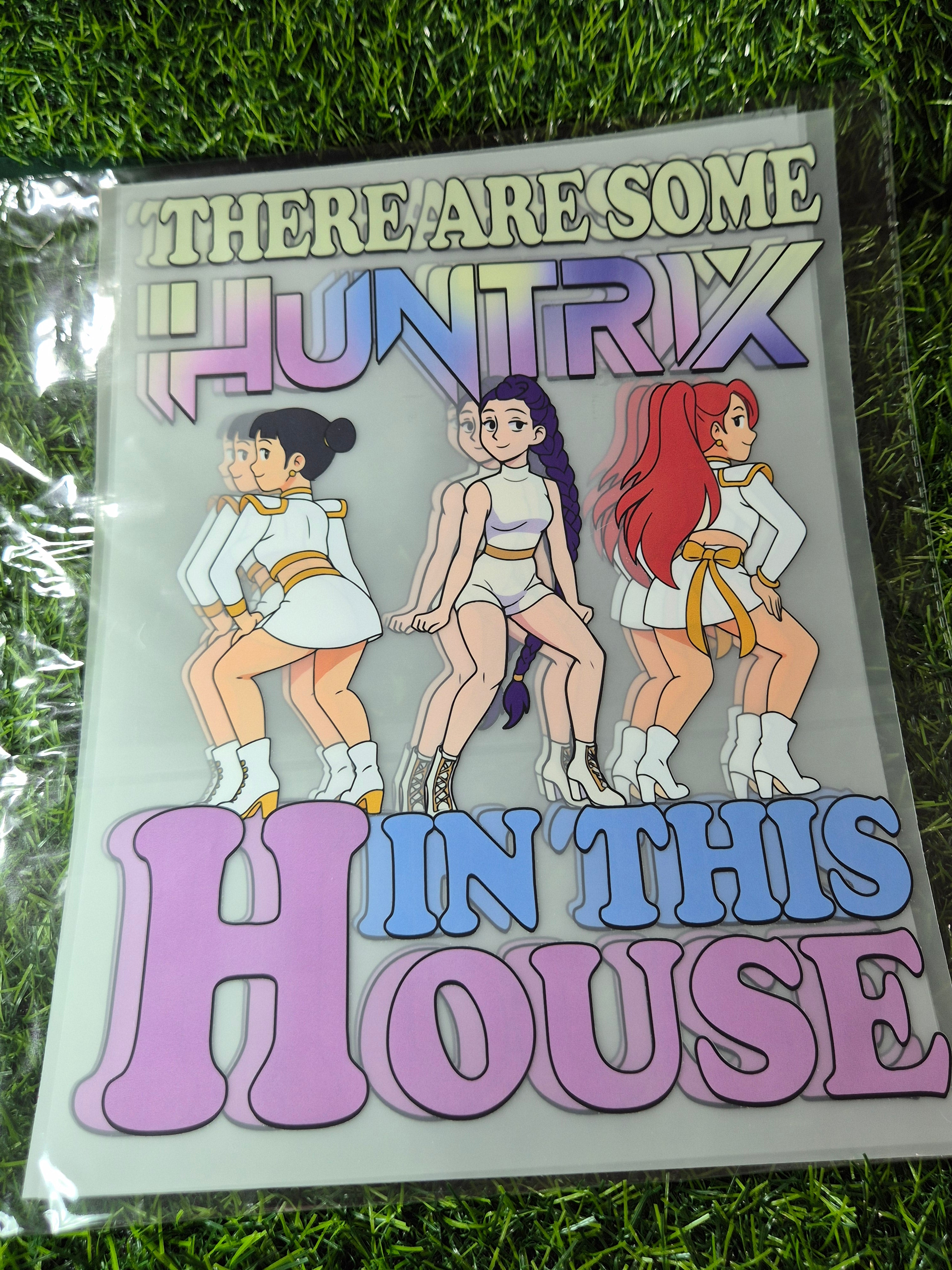 ADULT CATALOGUE HEAT TRANSFER #5