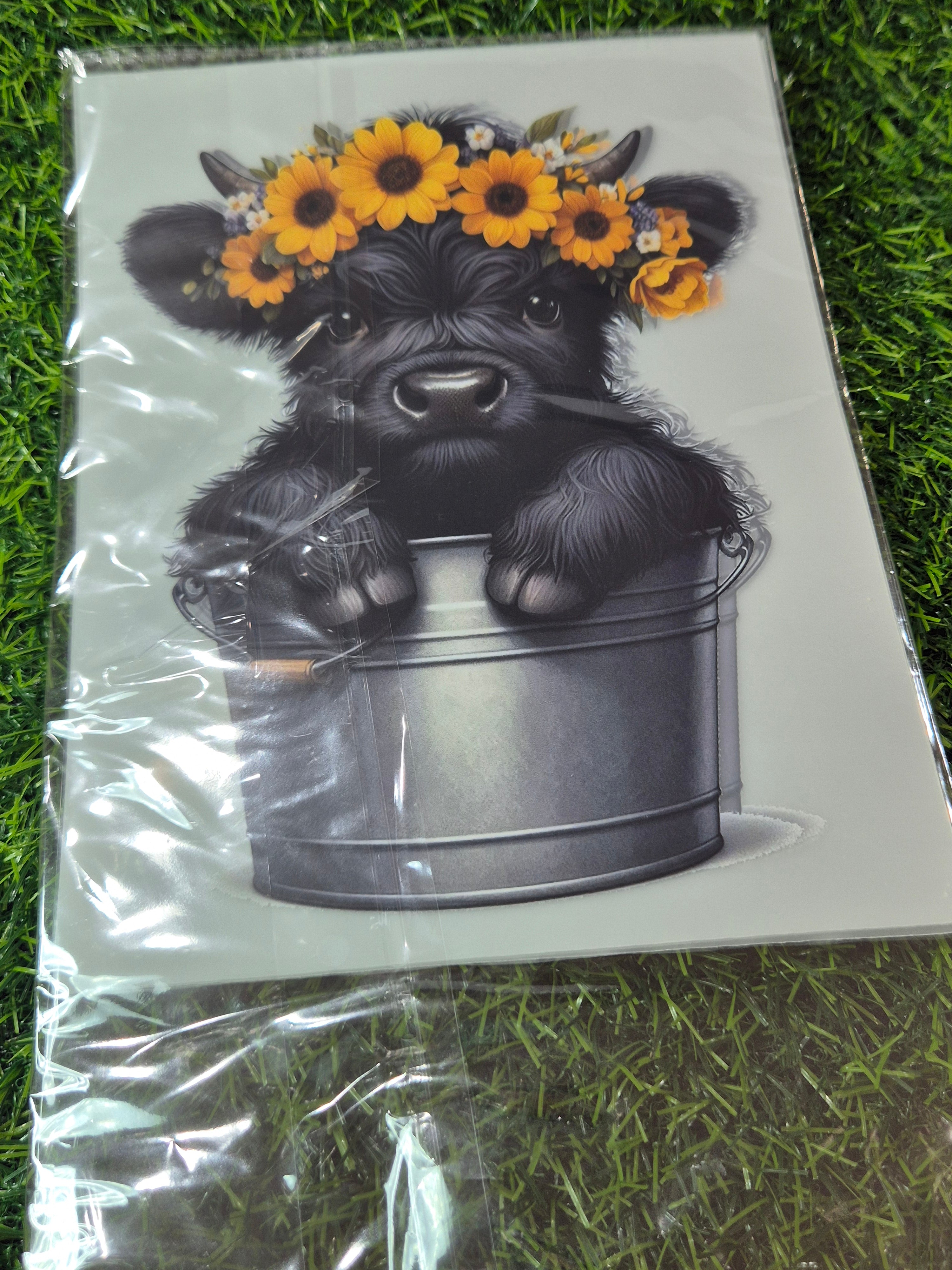 KIDS HEAT TRANSFER #134