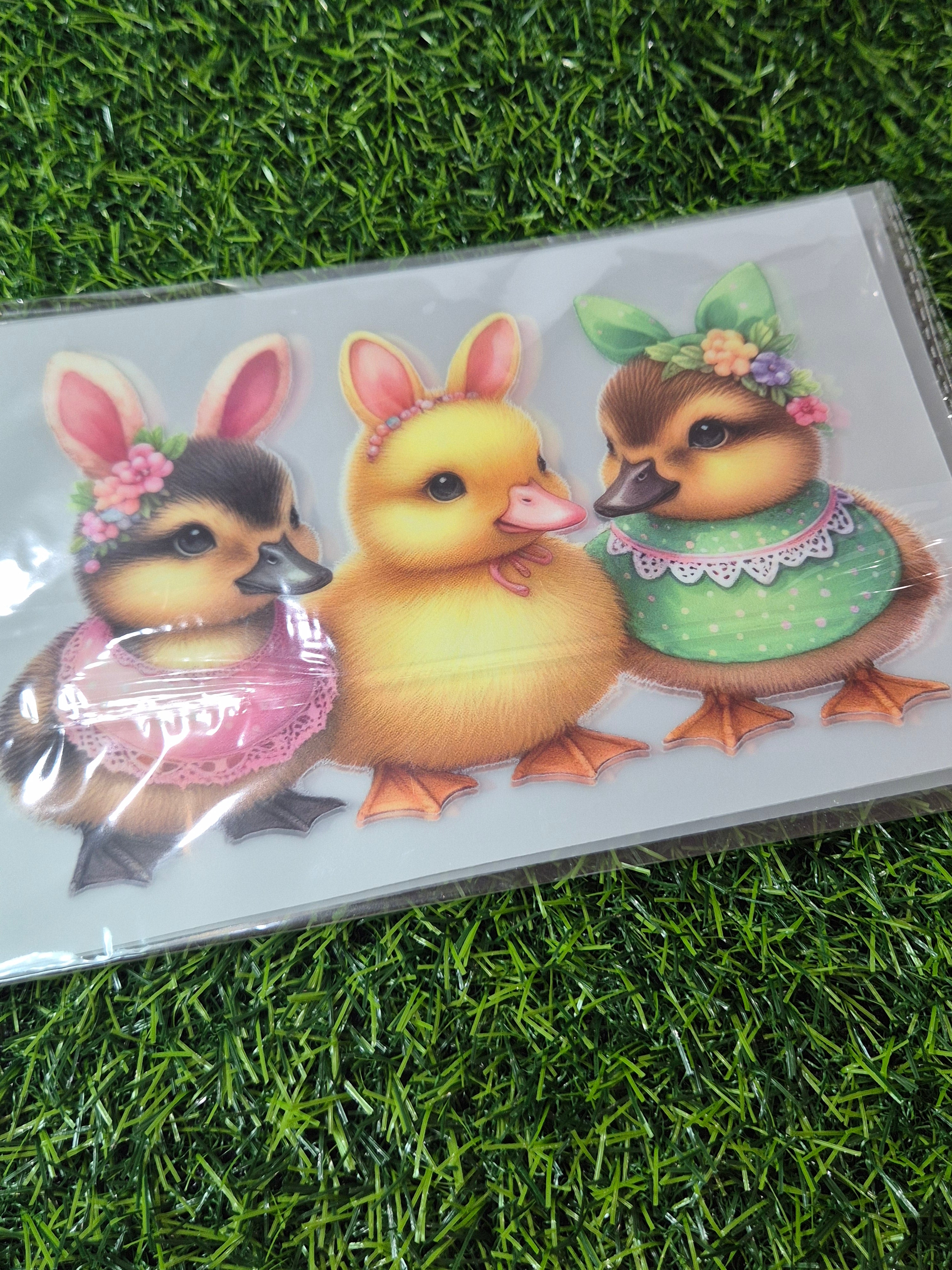 KIDS HEAT TRANSFER #96