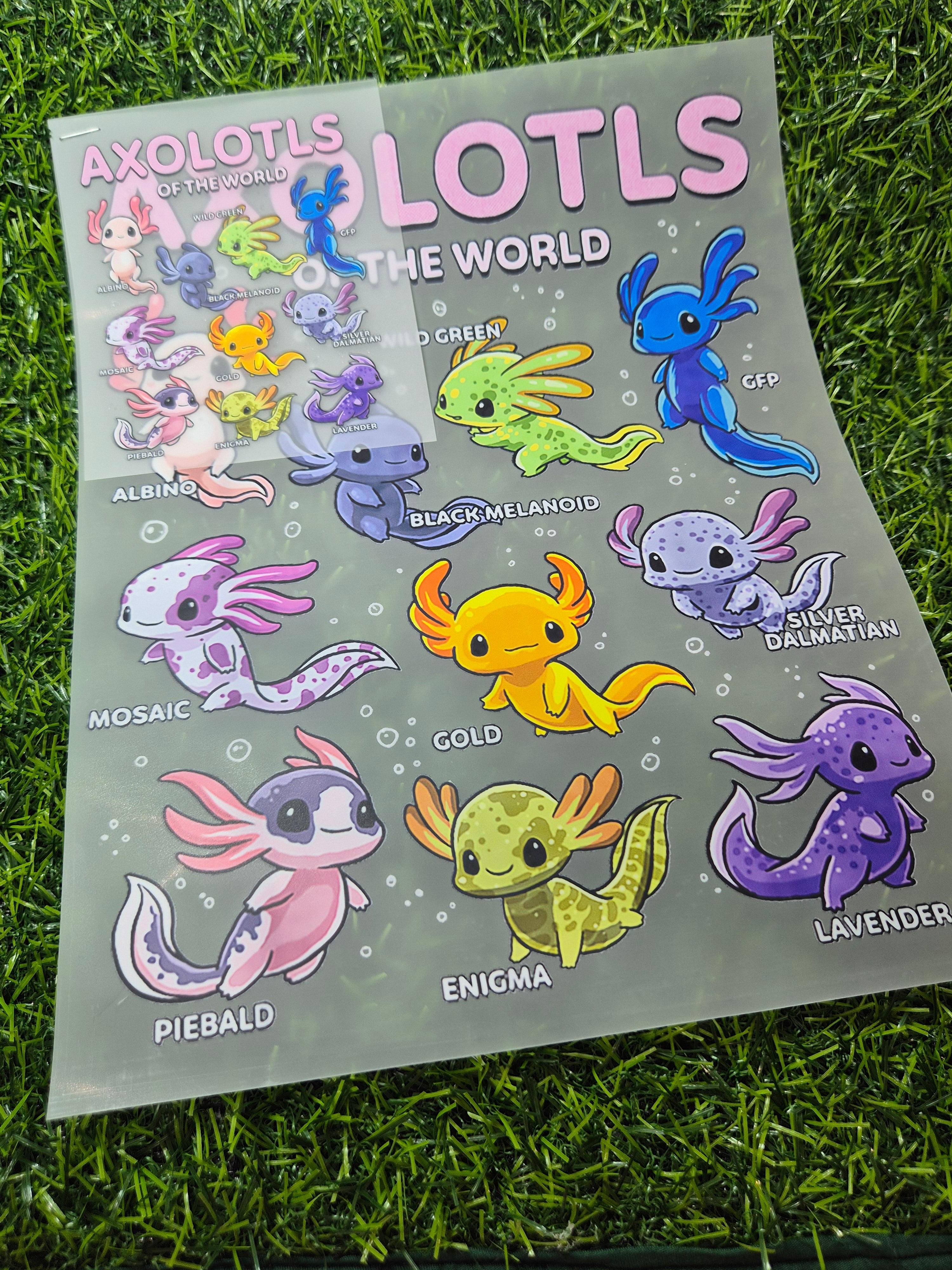 CATALOGUE HEAT TRANSFER/POCKET #45