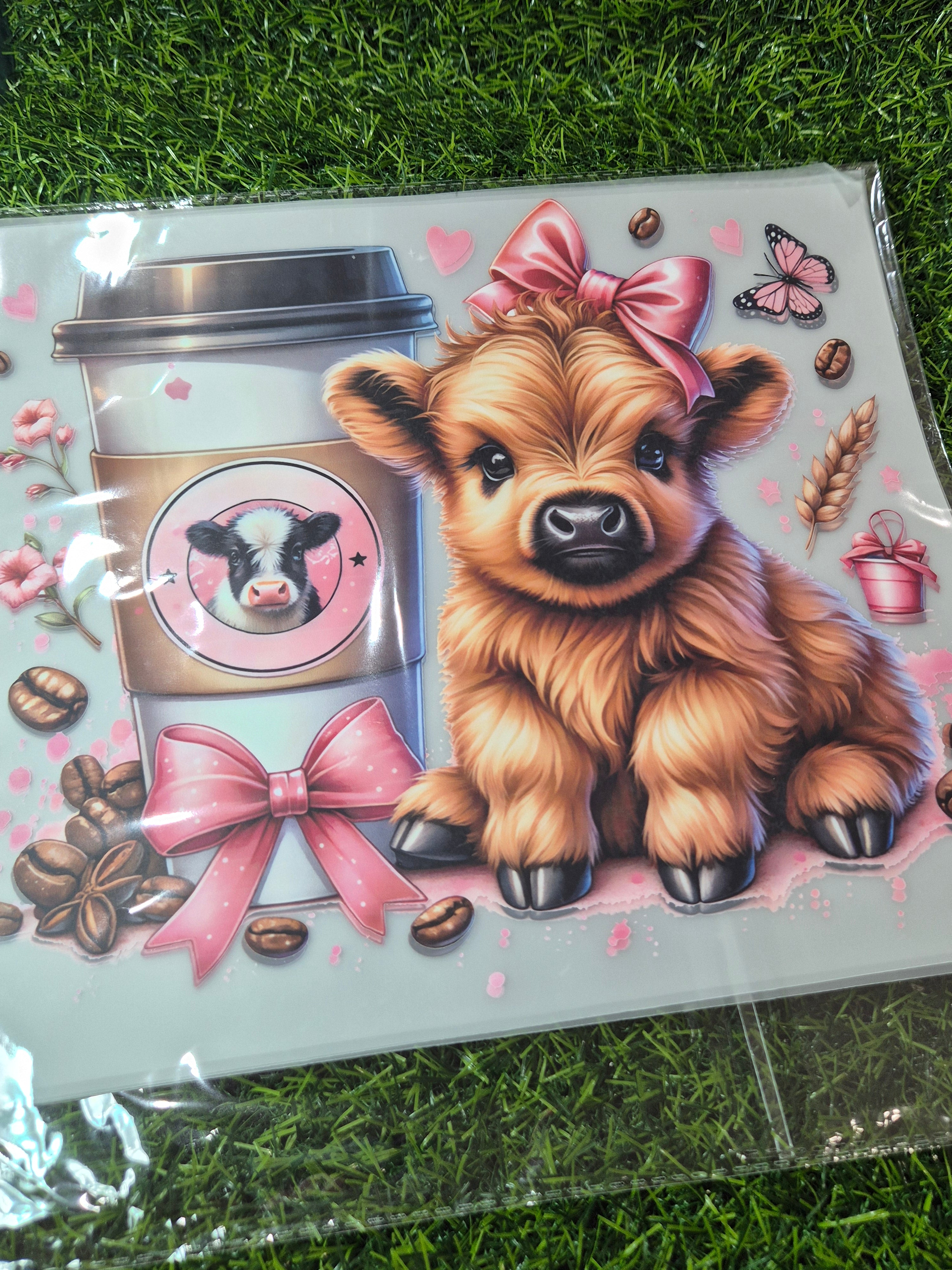 ADULT CATALOGUE HEAT TRANSFER #231