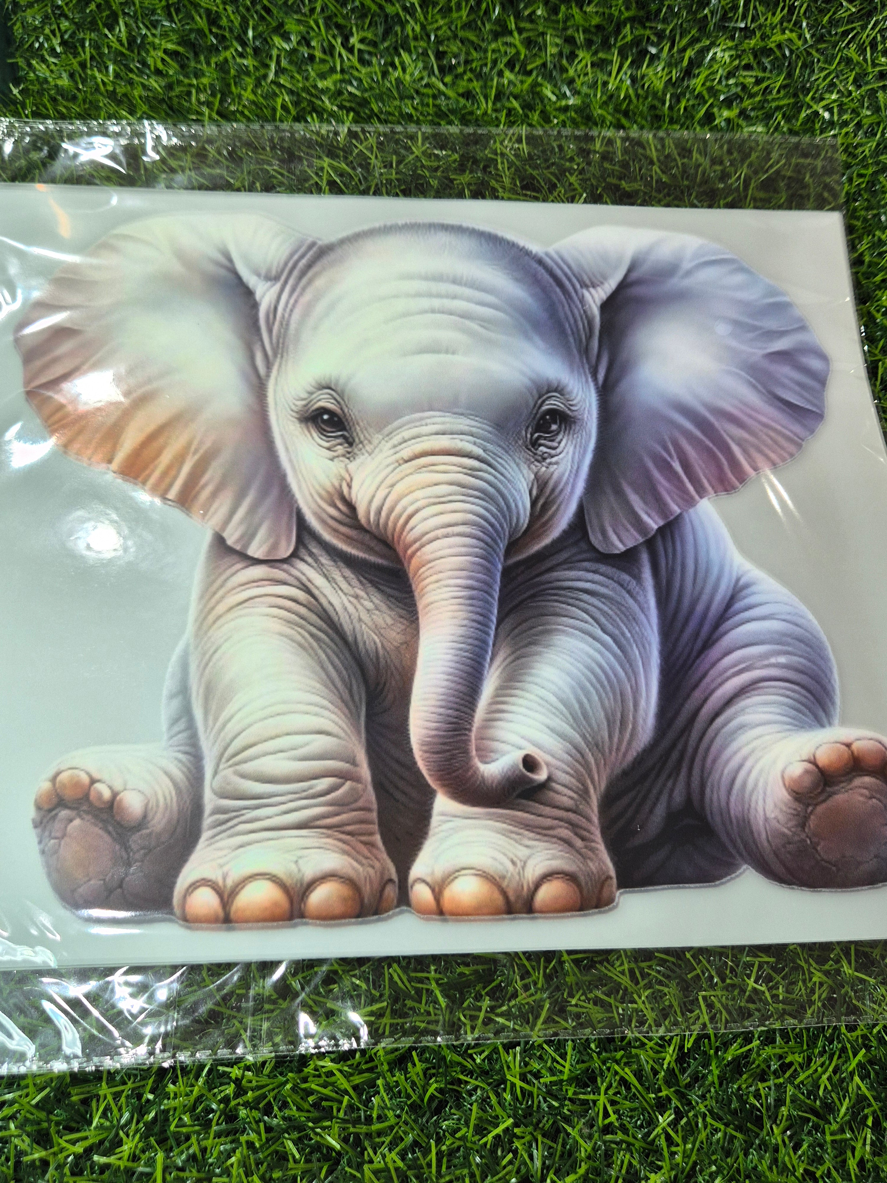 ADULT CATALOGUE HEAT TRANSFER #210