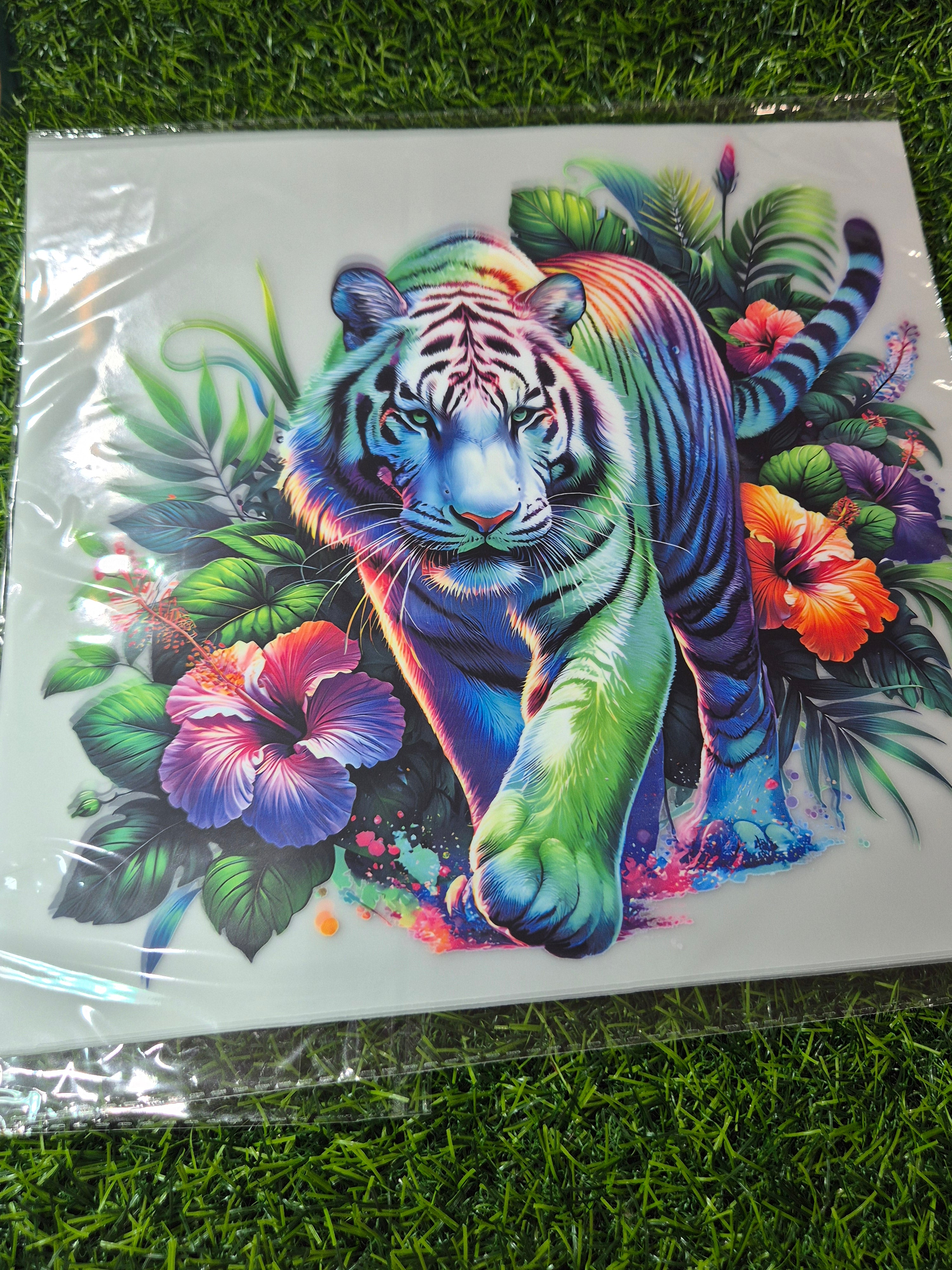 ADULT CATALOGUE HEAT TRANSFER #197