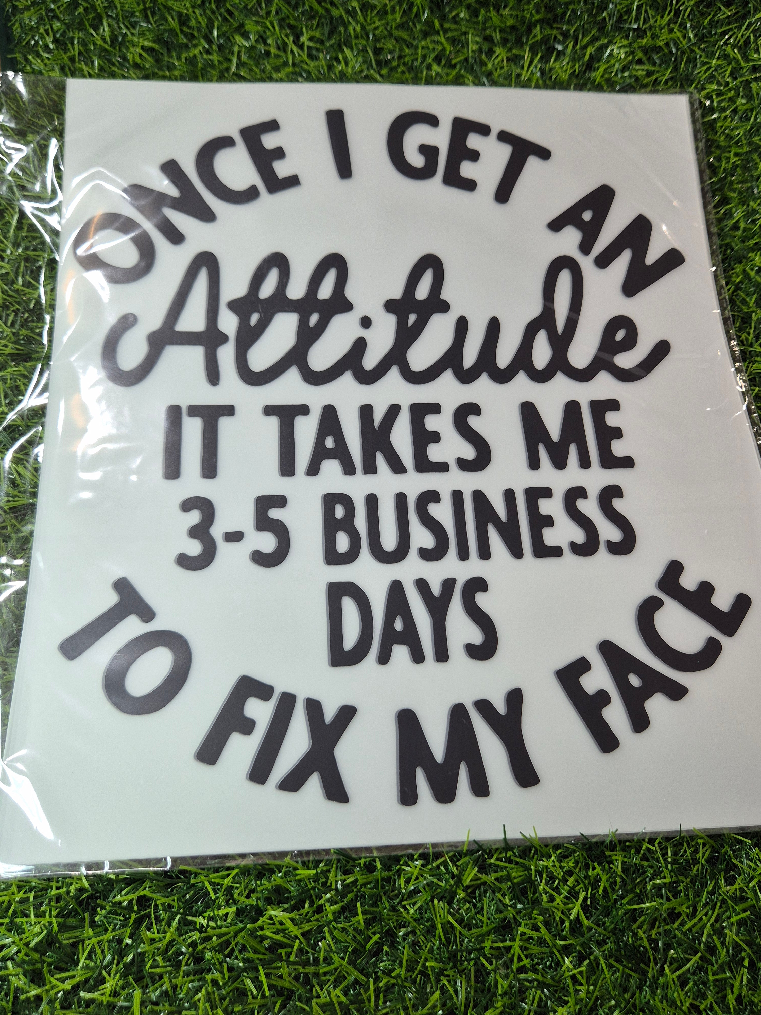 ADULT CATALOGUE HEAT TRANSFER #196