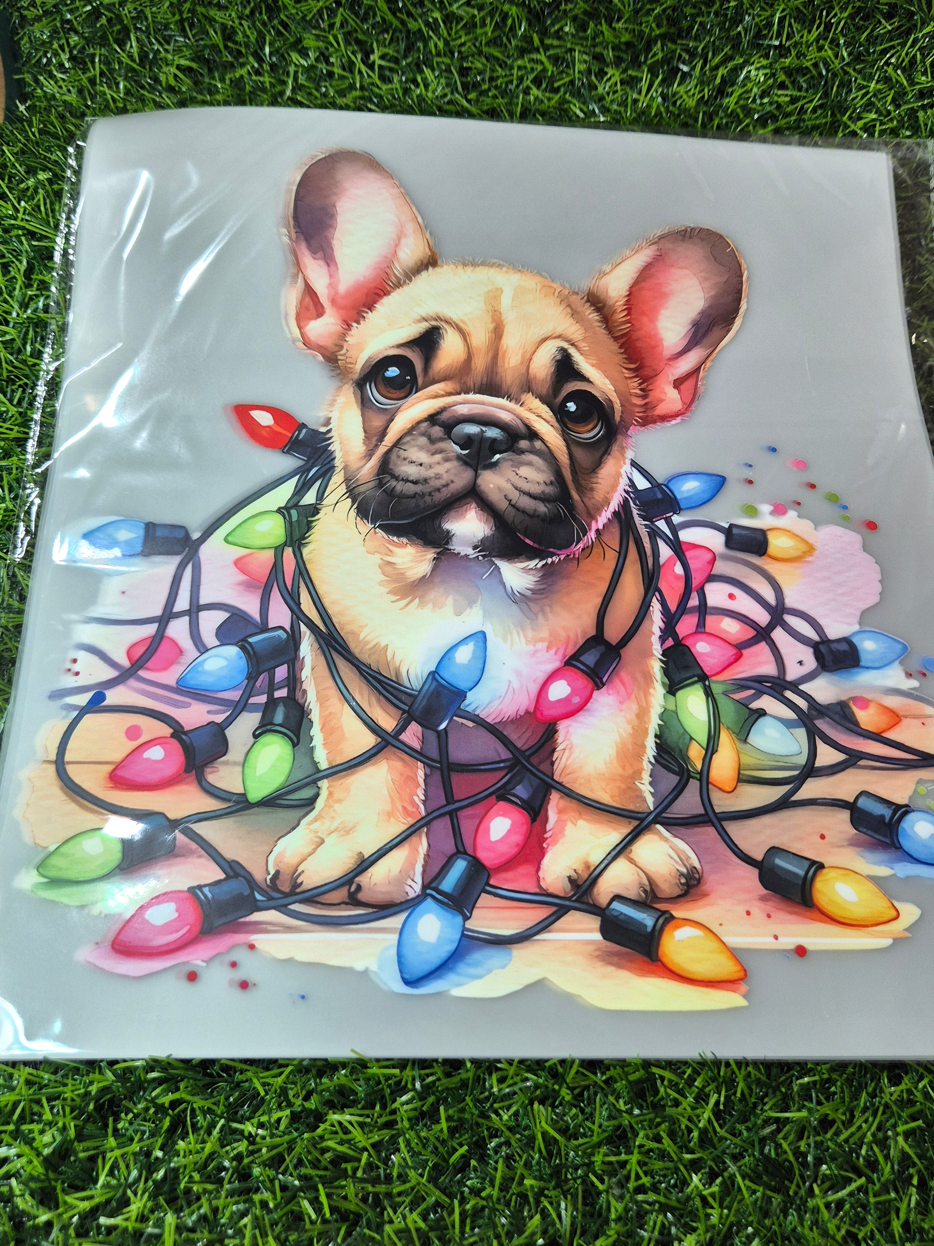 ADULT CATALOGUE HEAT TRANSFER #182