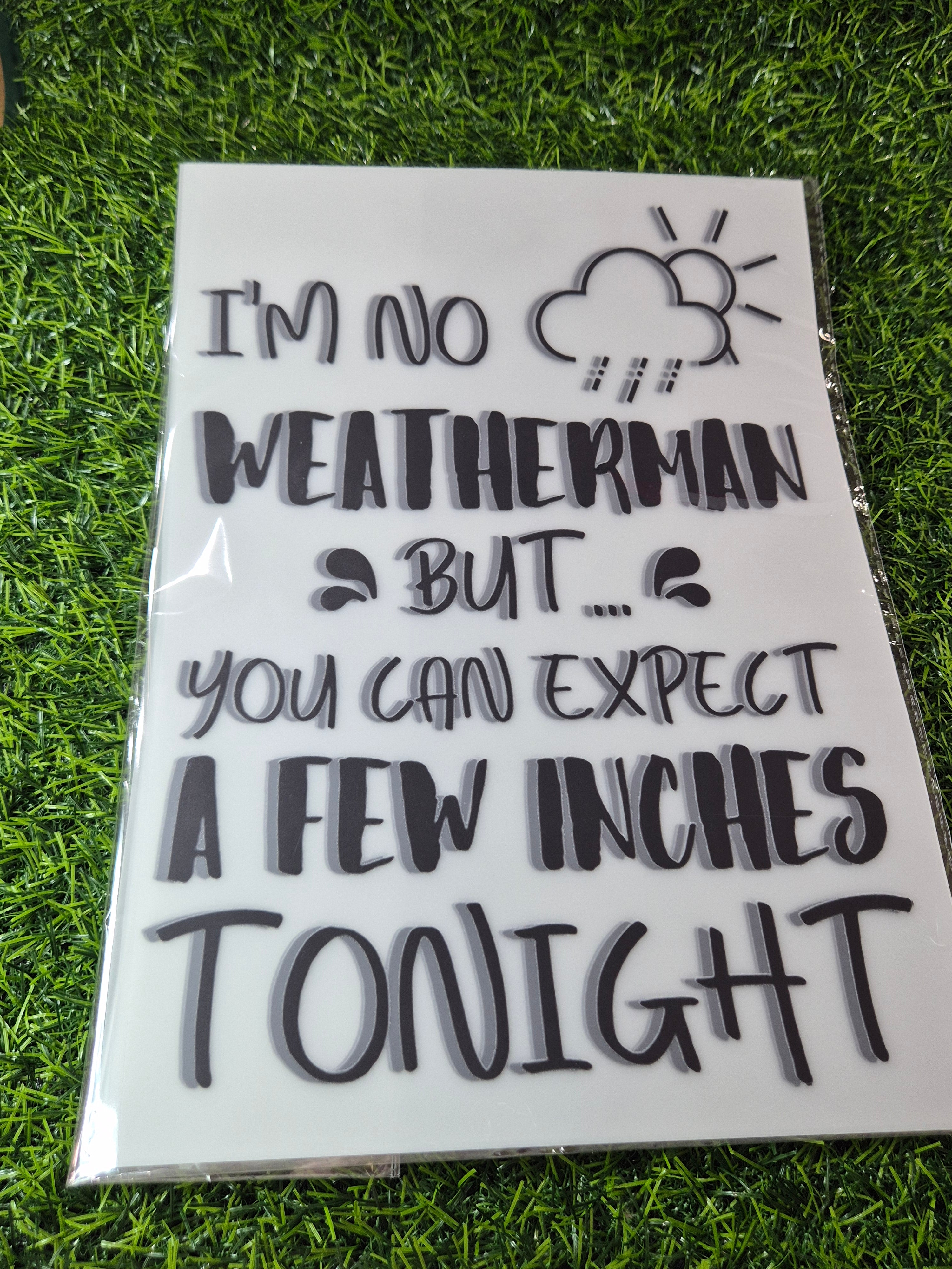 ADULT CATALOGUE HEAT TRANSFER #179