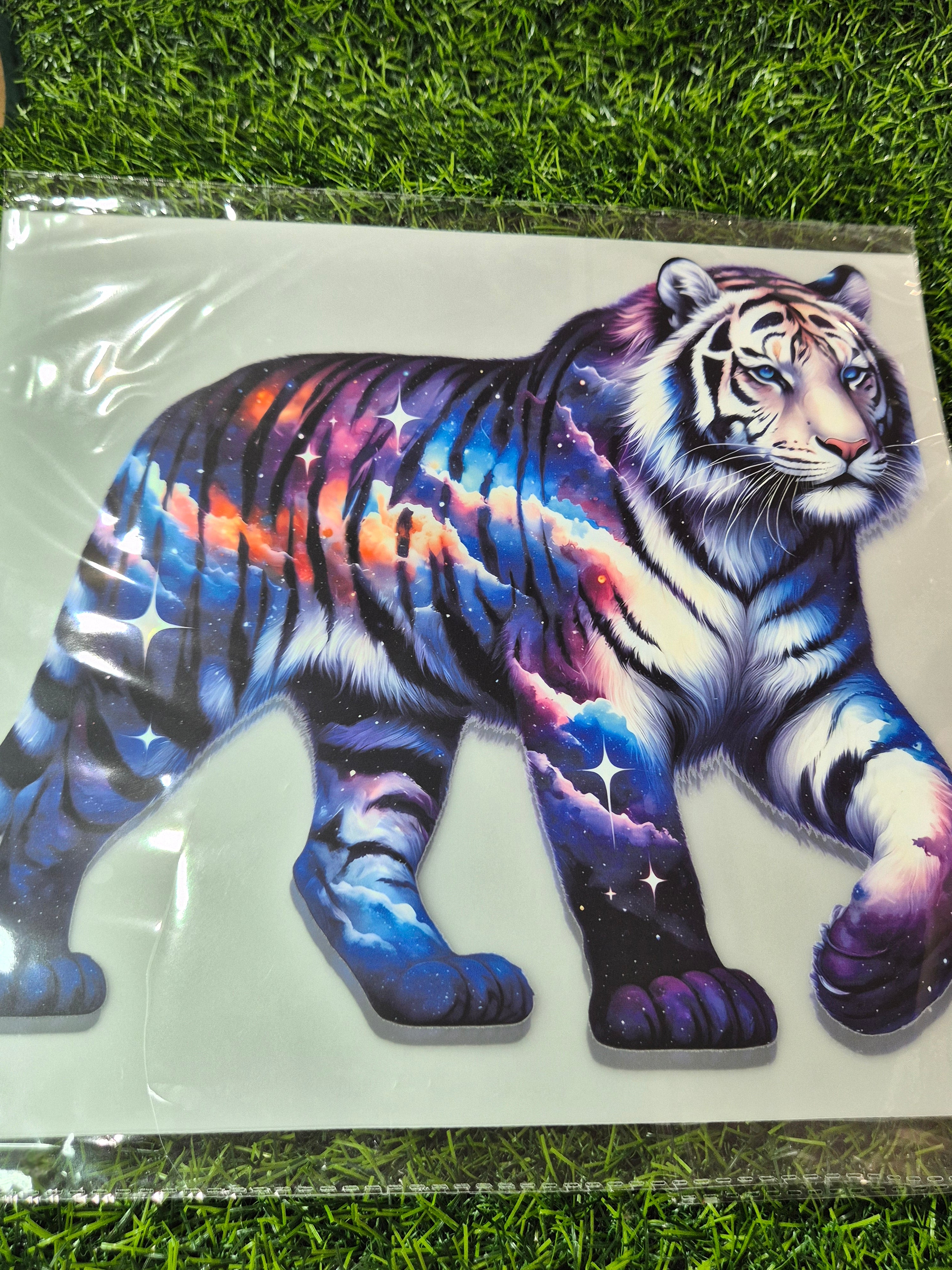 ADULT CATALOGUE HEAT TRANSFER #169