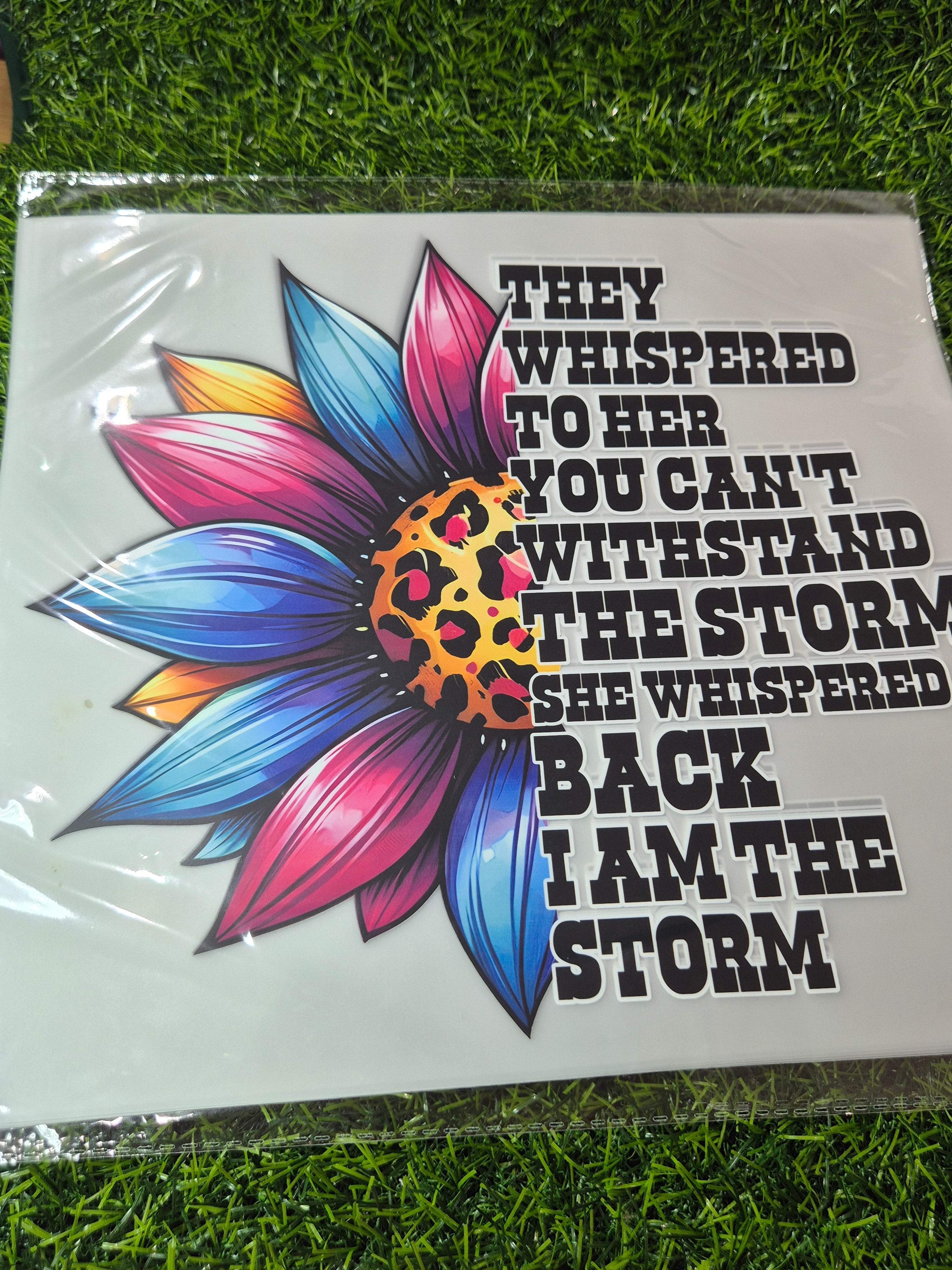 ADULT CATALOGUE HEAT TRANSFER #164