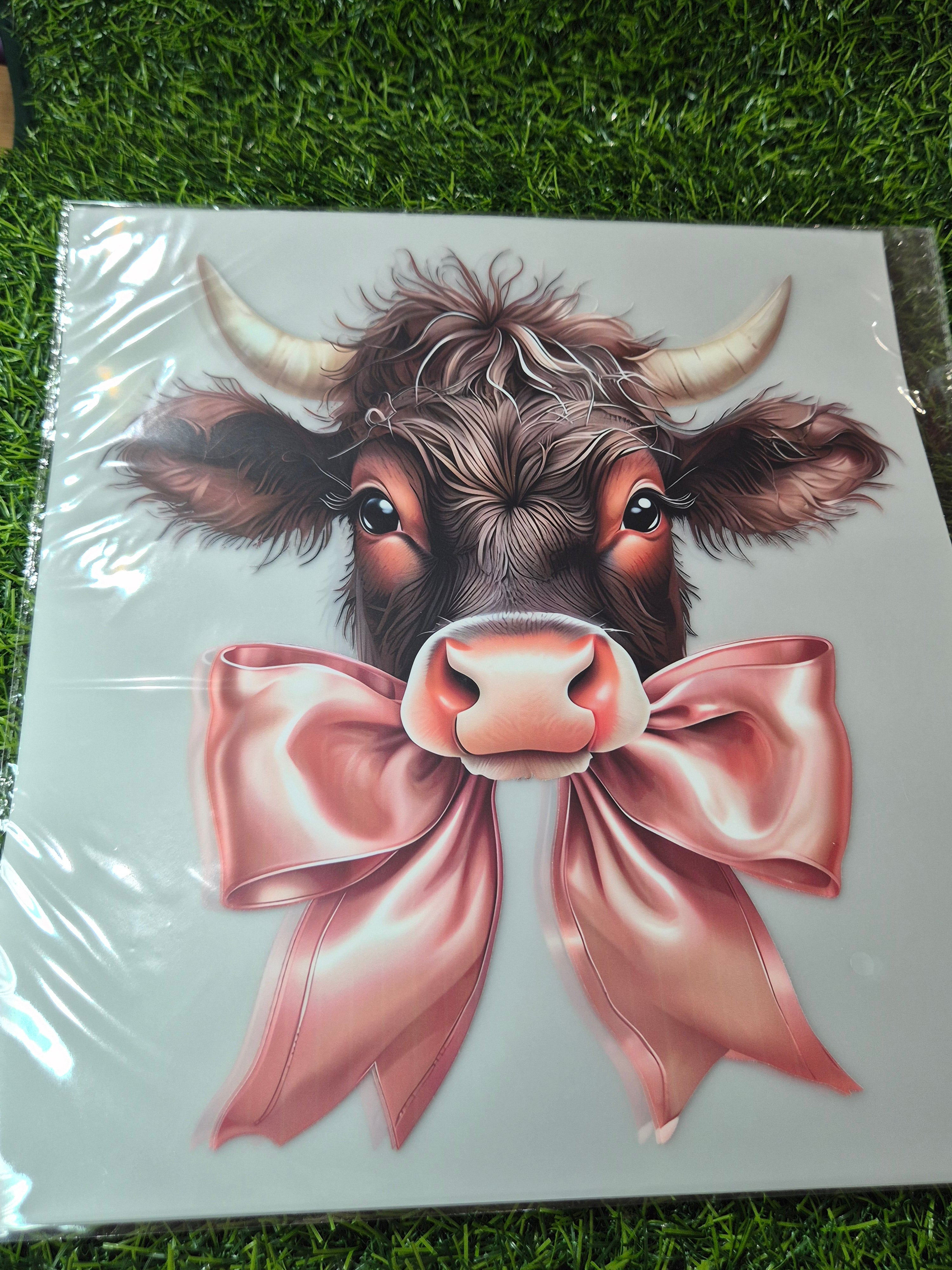 ADULT CATALOGUE HEAT TRANSFER #157