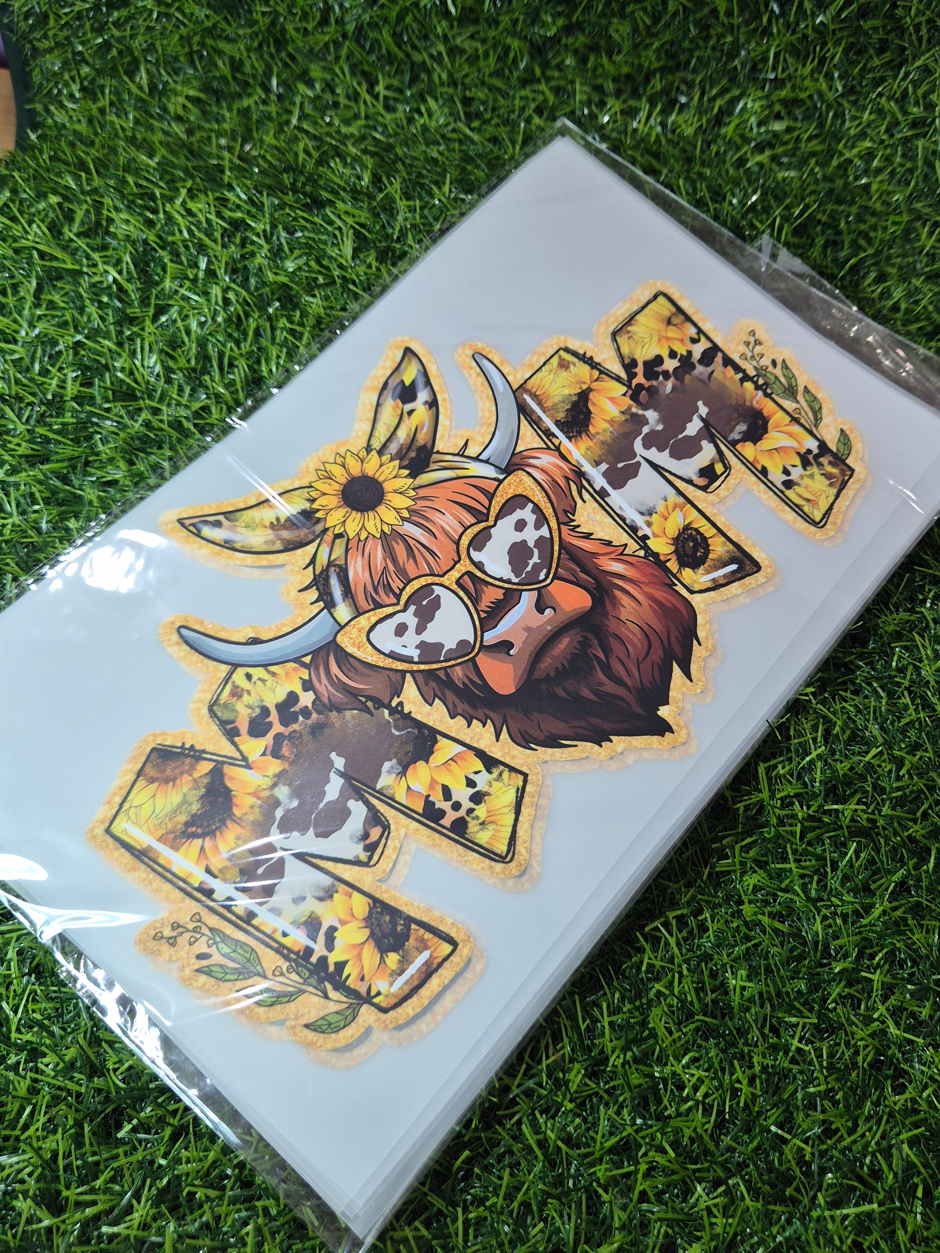 ADULT CATALOGUE HEAT TRANSFER #147