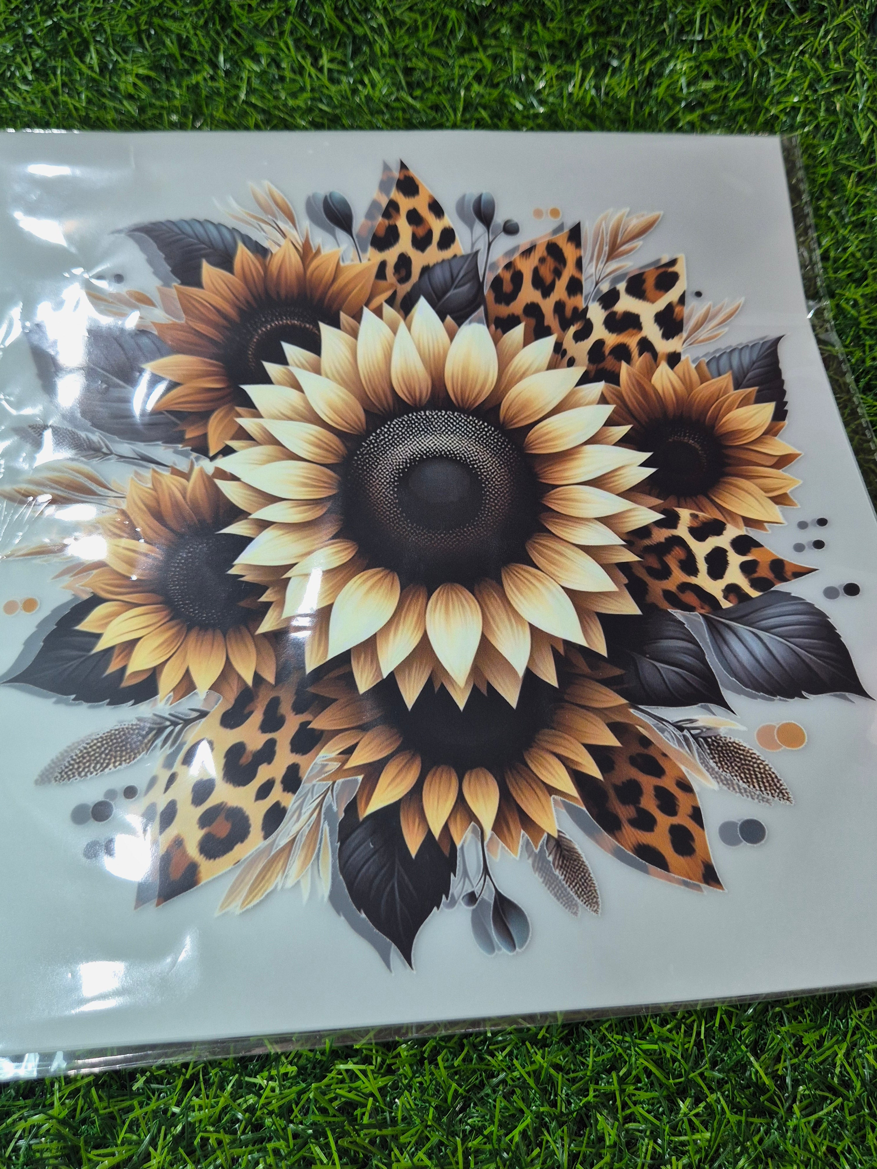 ADULT CATALOGUE HEAT TRANSFER #118