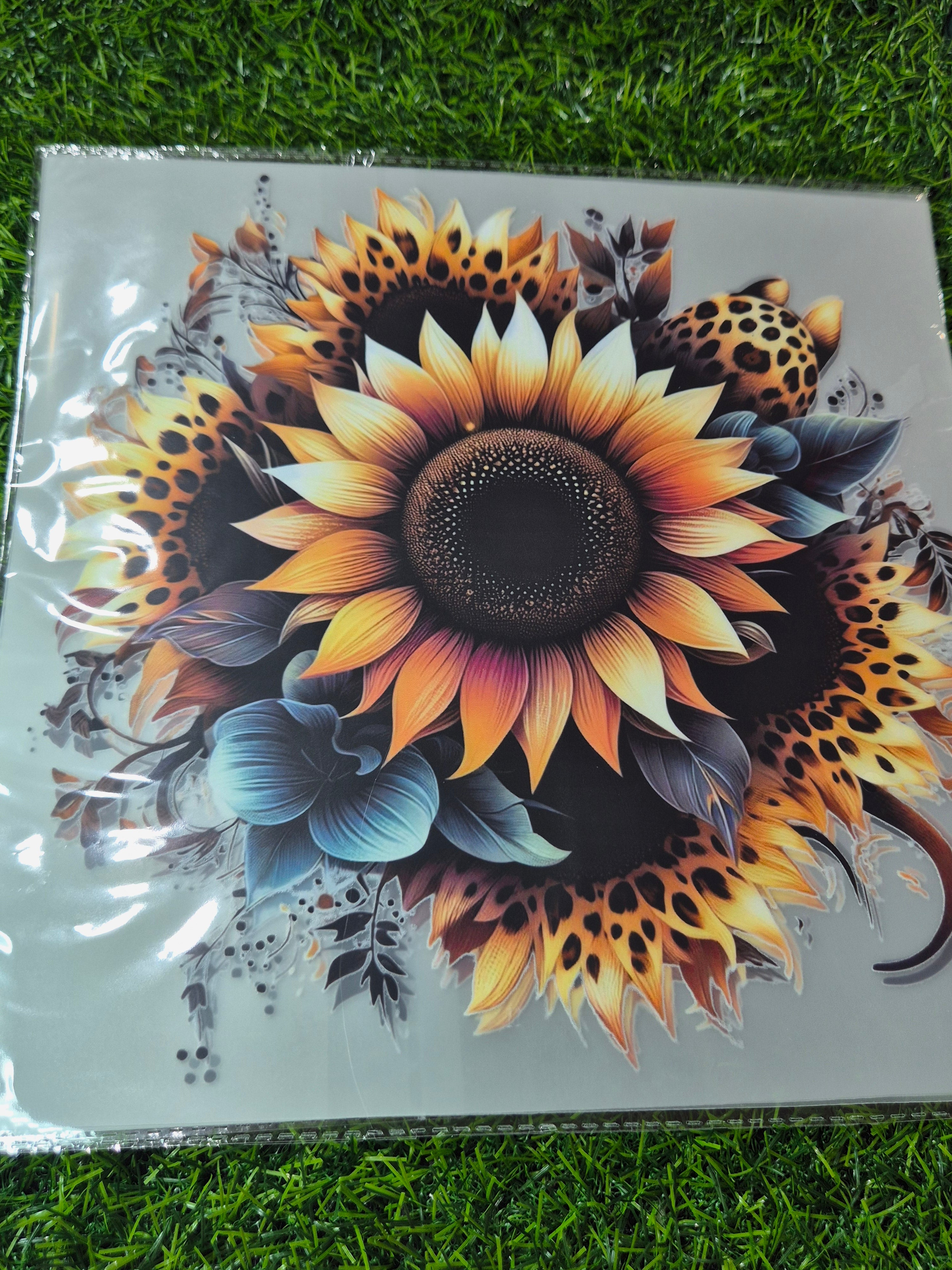 ADULT CATALOGUE HEAT TRANSFER #117