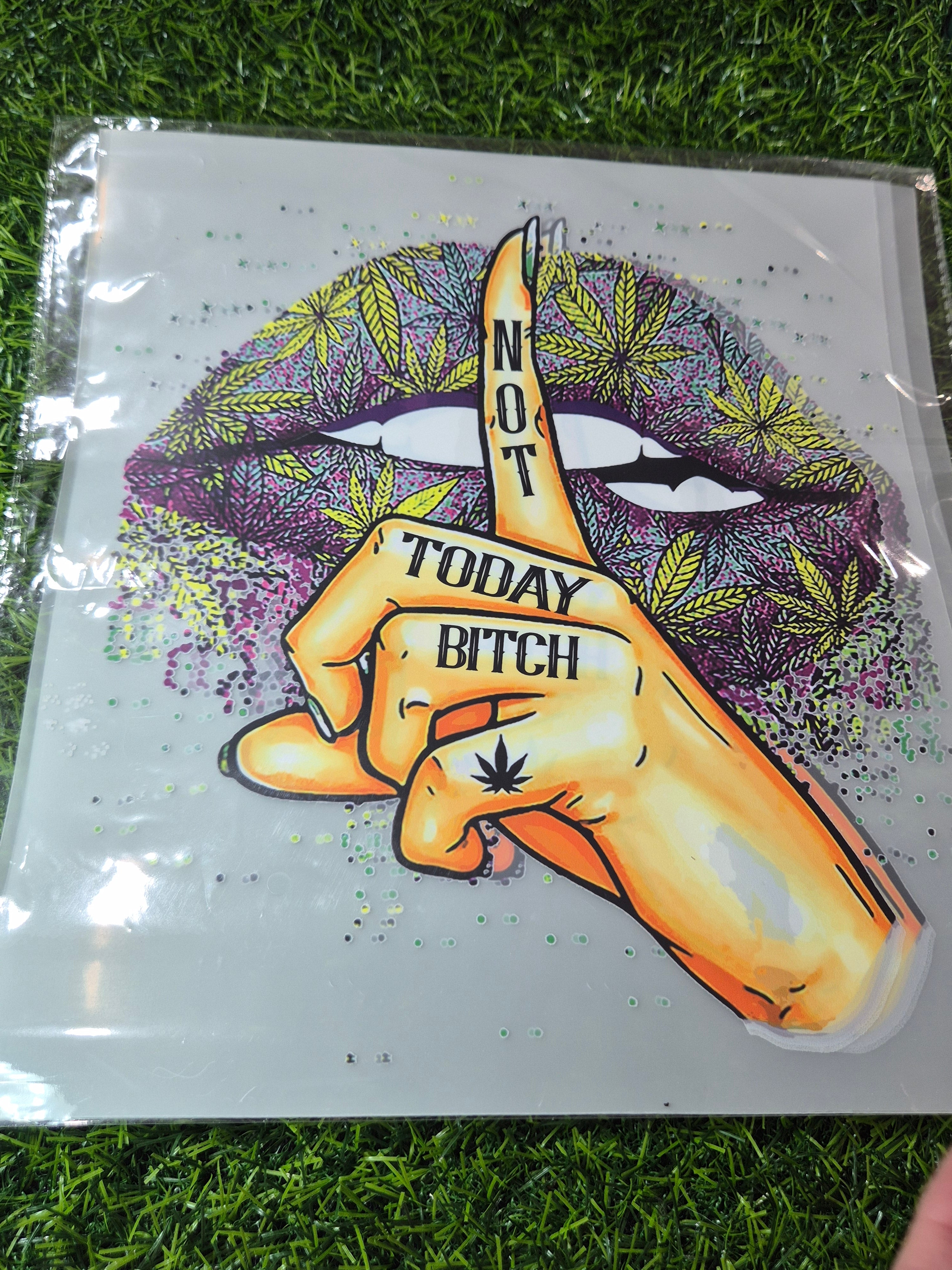 ADULT CATALOGUE HEAT TRANSFER #114