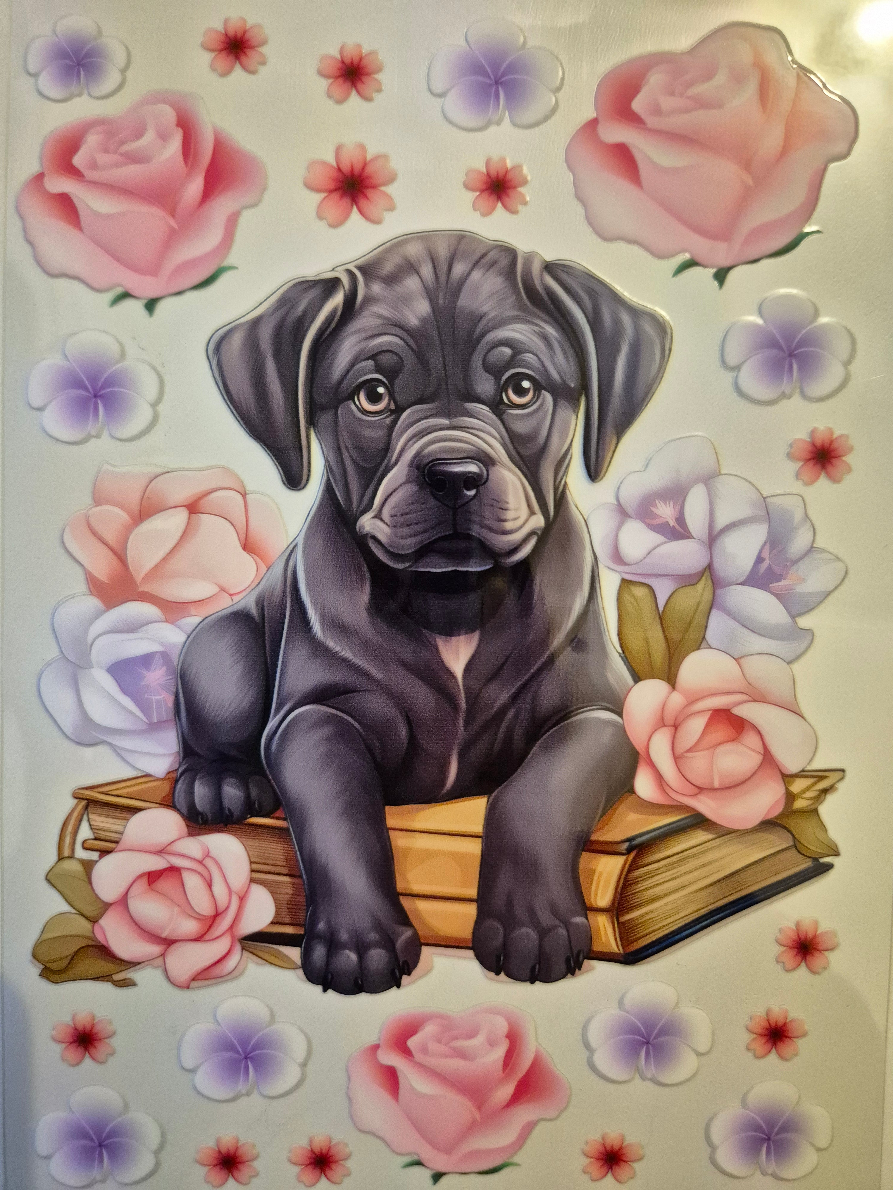 A5 NOTEBOOK WRAP #239