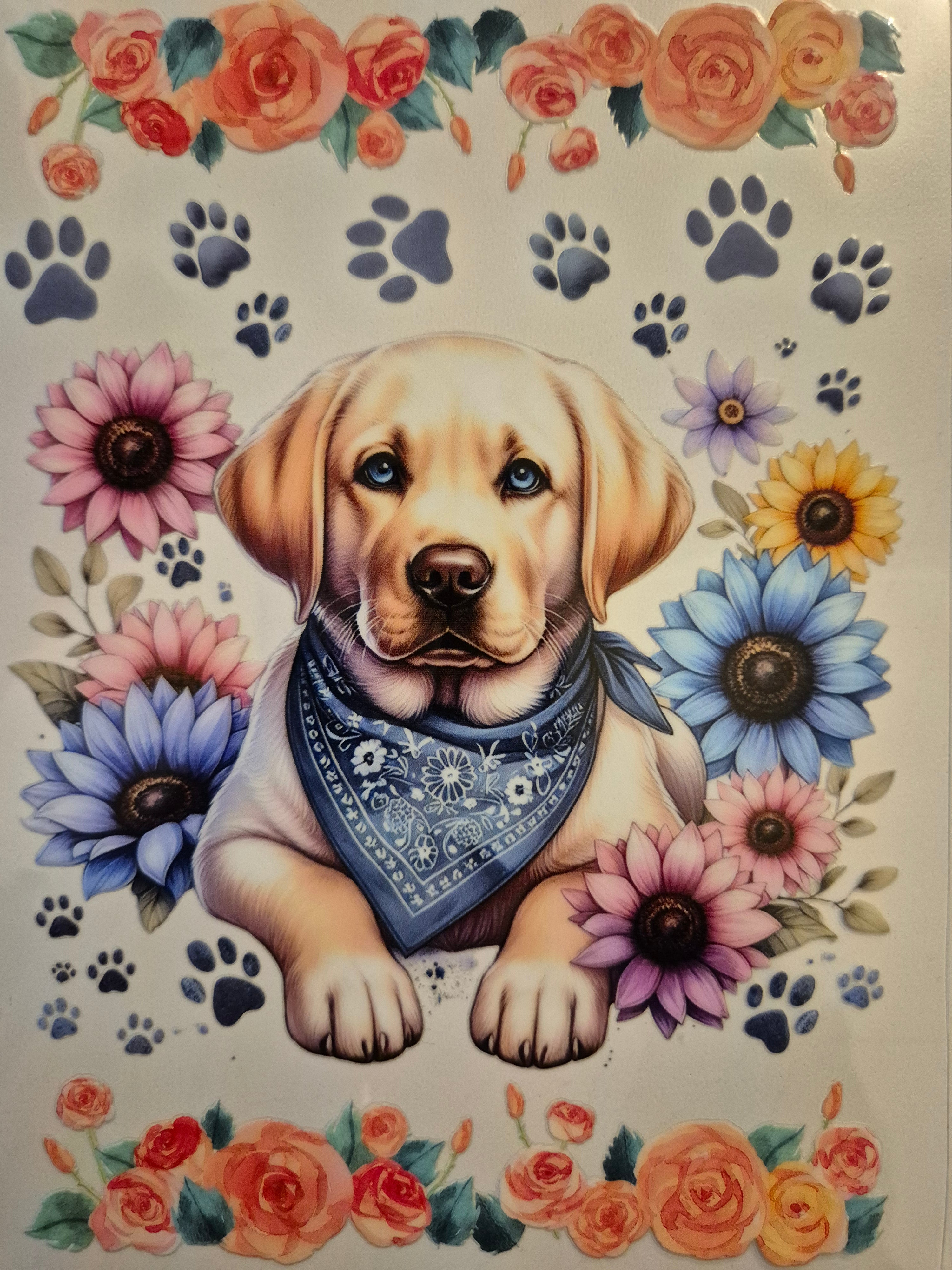 A5 NOTEBOOK WRAP #245