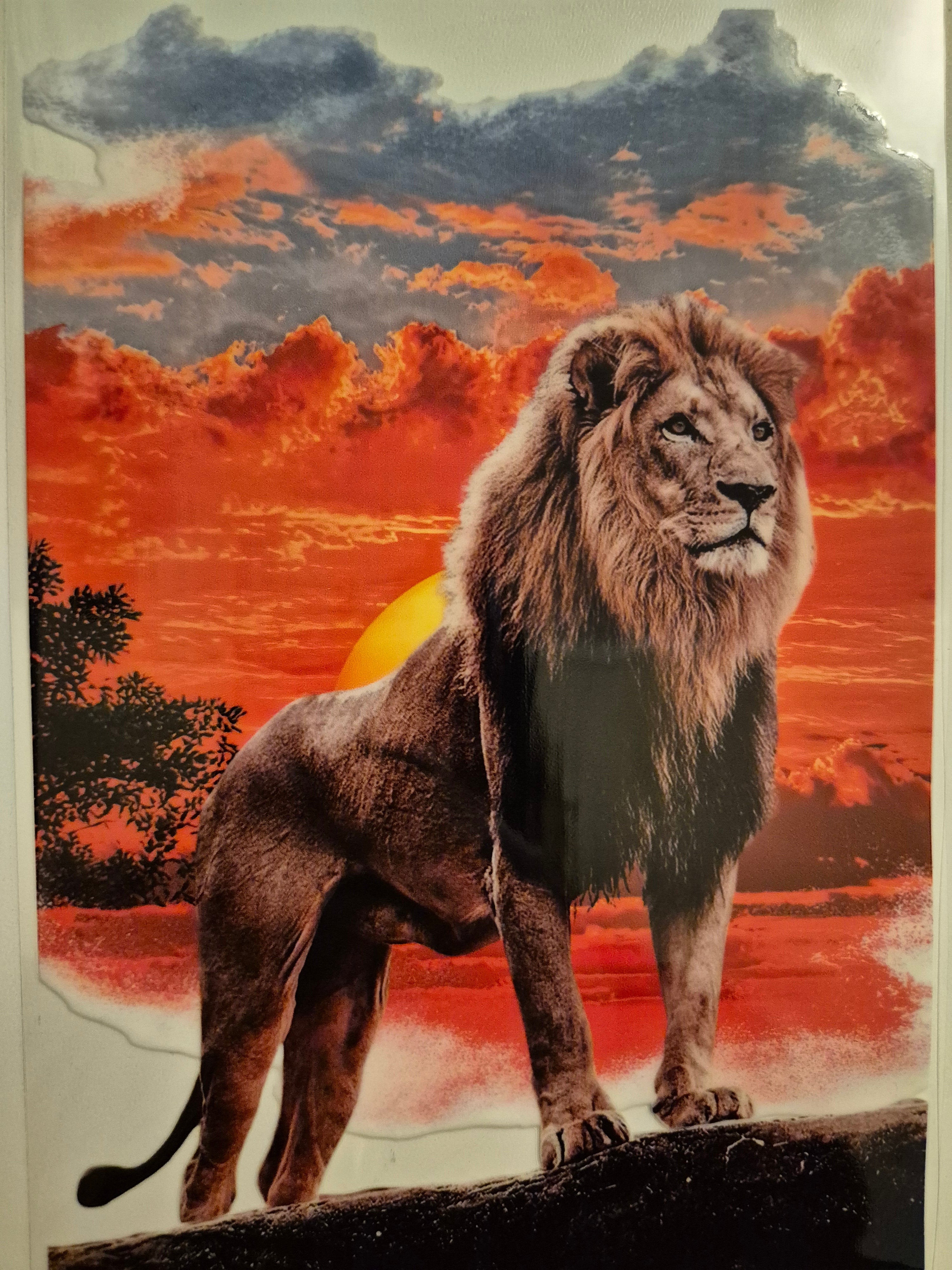 A5 NOTEBOOK WRAP #265