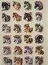 KISS CUT WRAP #142