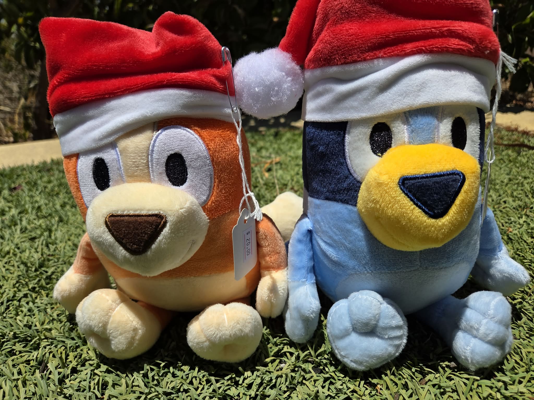 BLUE AND ORANGE DOG TEDDY