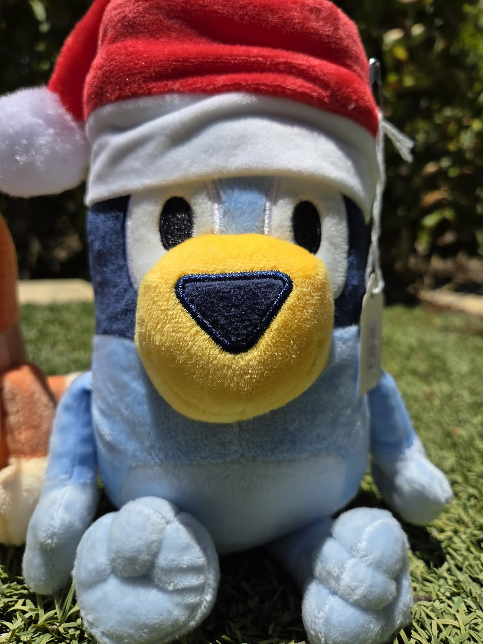 BLUE AND ORANGE DOG TEDDY