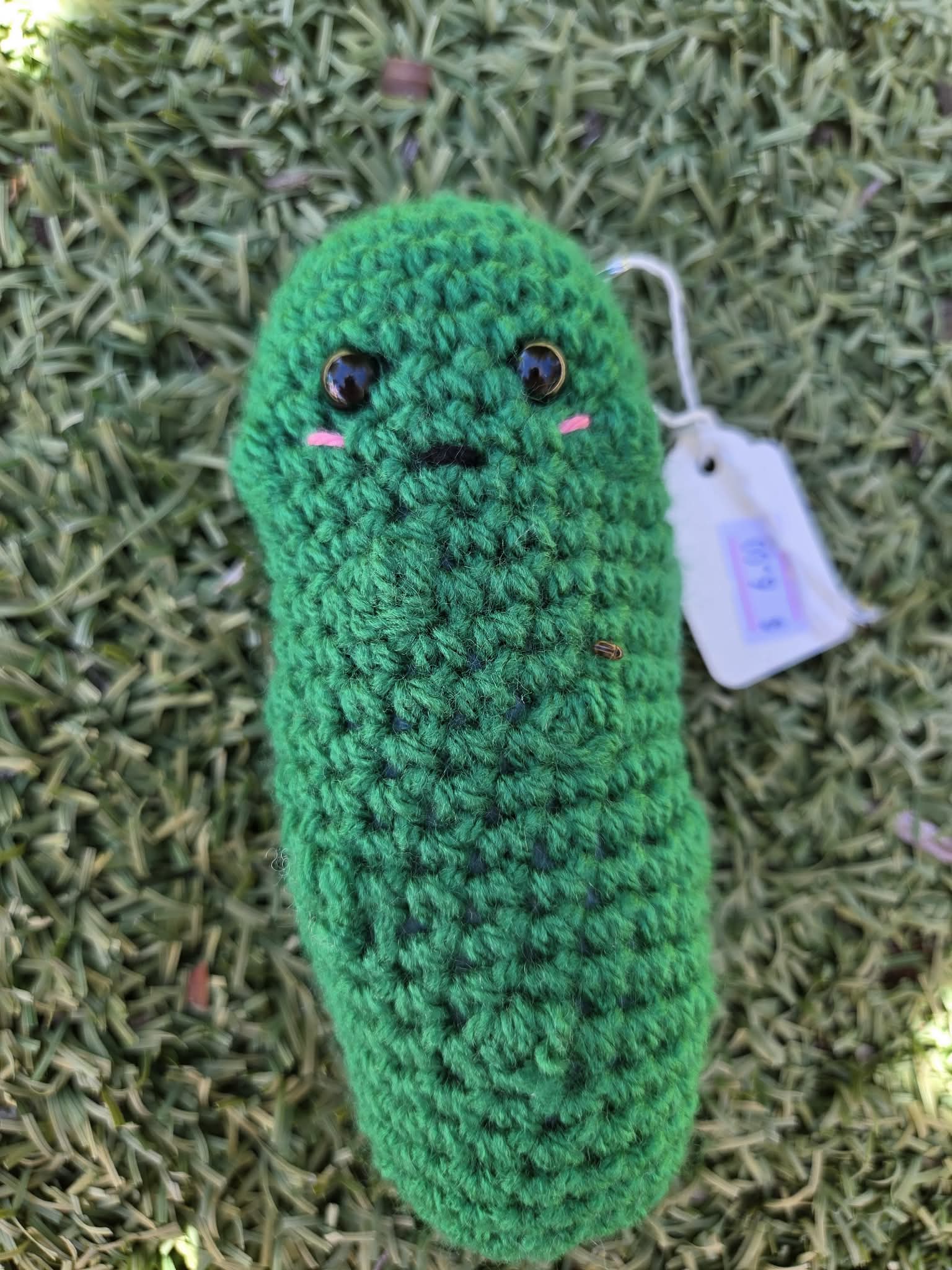LITTLE CROCHET PICKLE