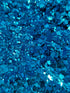BLUEBIRD GLITTER