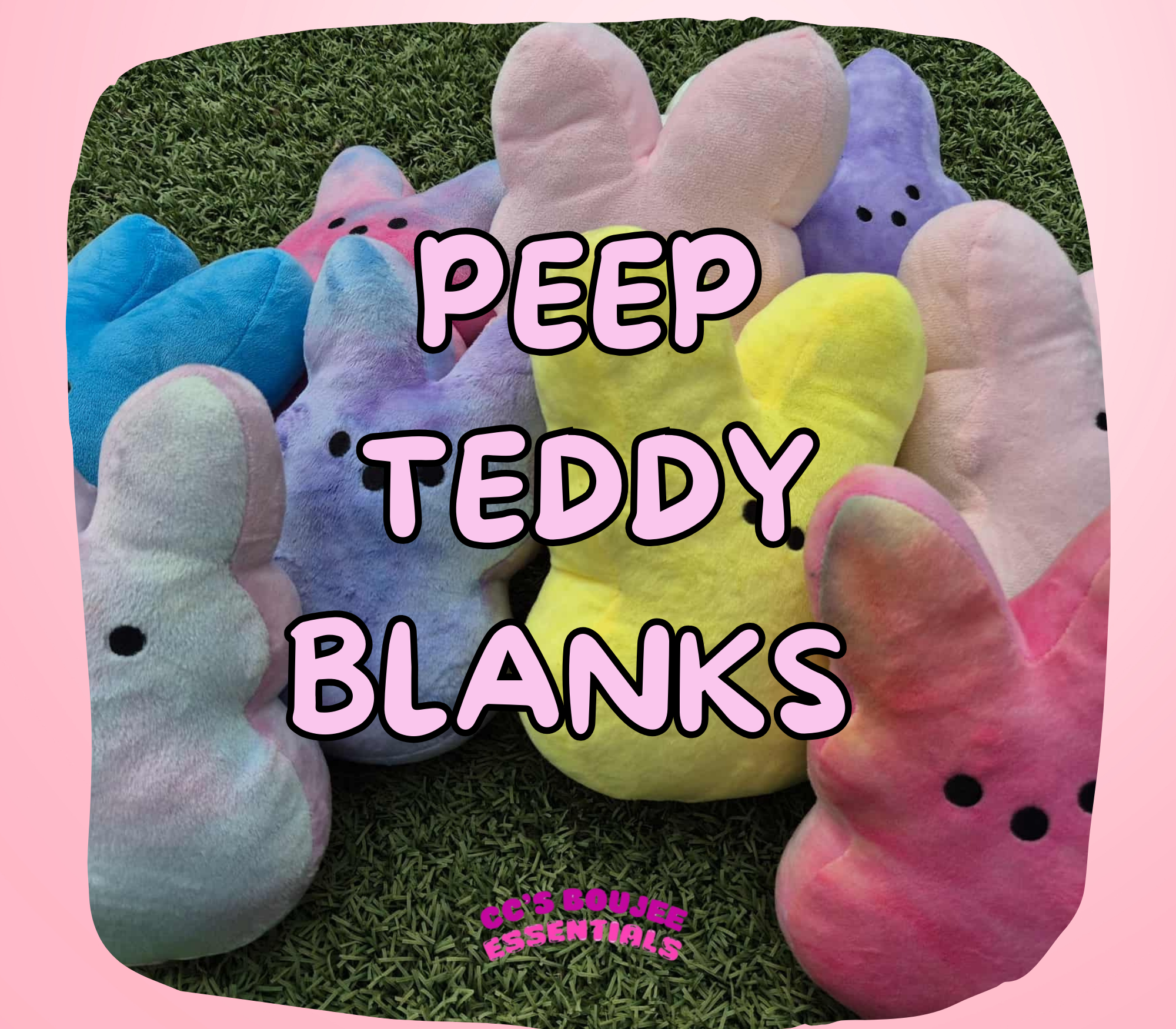 PEEP TEDDY BLANKS