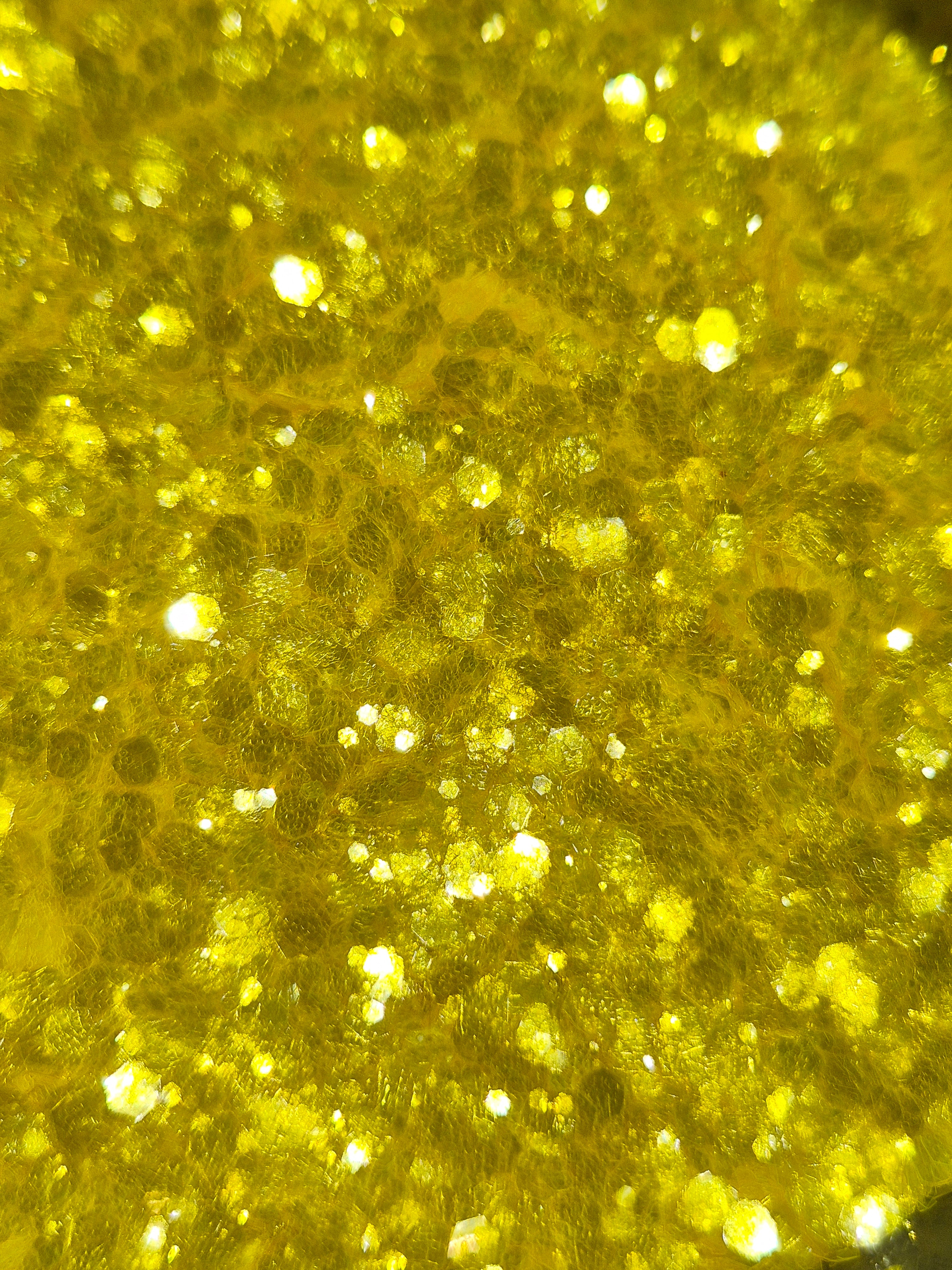 POLLEN GLITTER