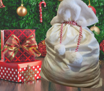 BLANK CHRISTMAS SACK WITH RED/WHITE TIE