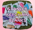 STANLEY KEYCHAIN BLANK