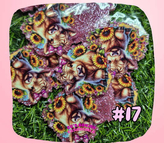 #17 ACRYLIC FOCAL