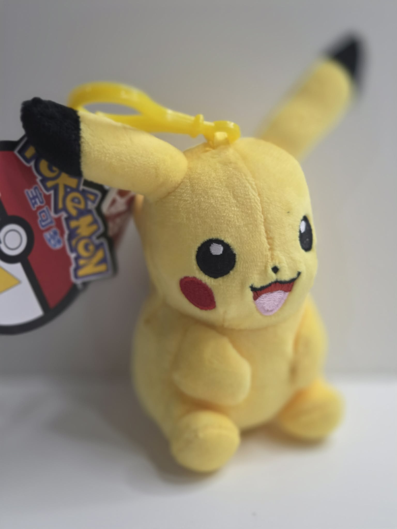CATCH EM ALL KEYCHAINS