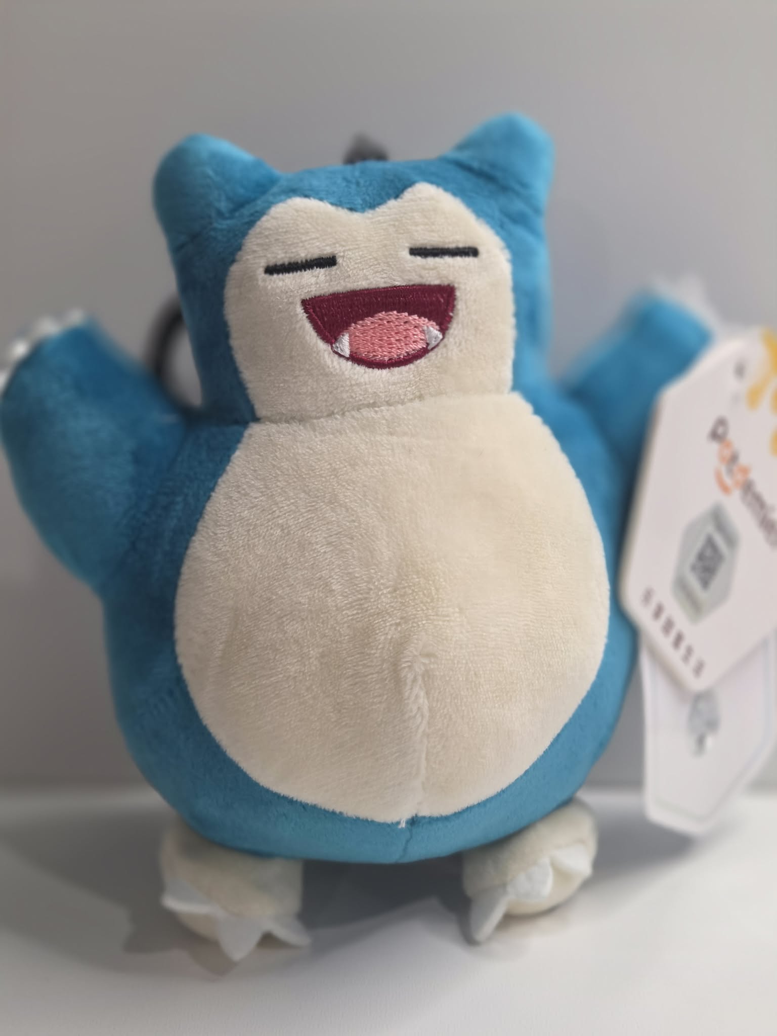 CATCH EM ALL KEYCHAINS