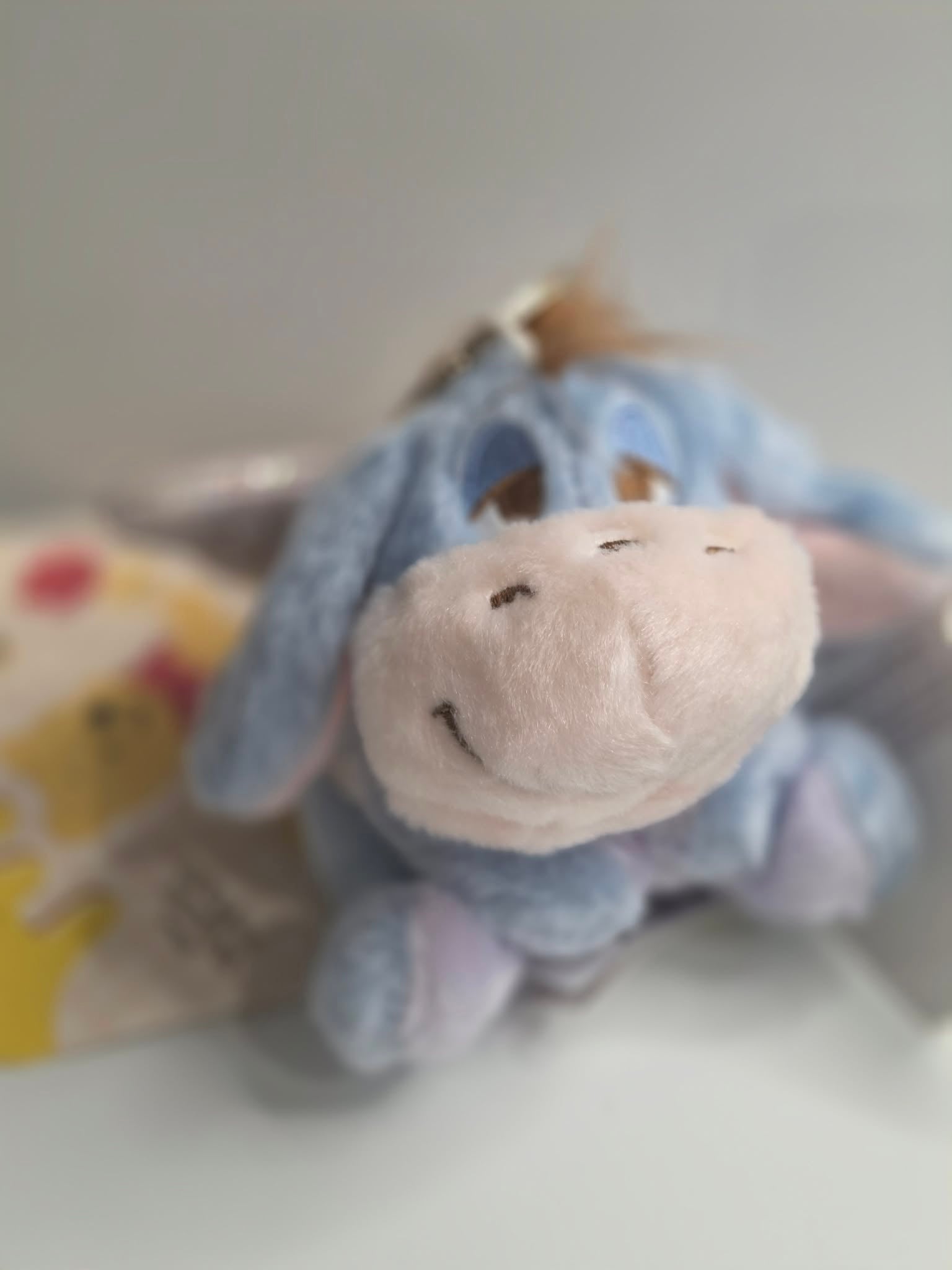 TEDDY KEYCHAINS