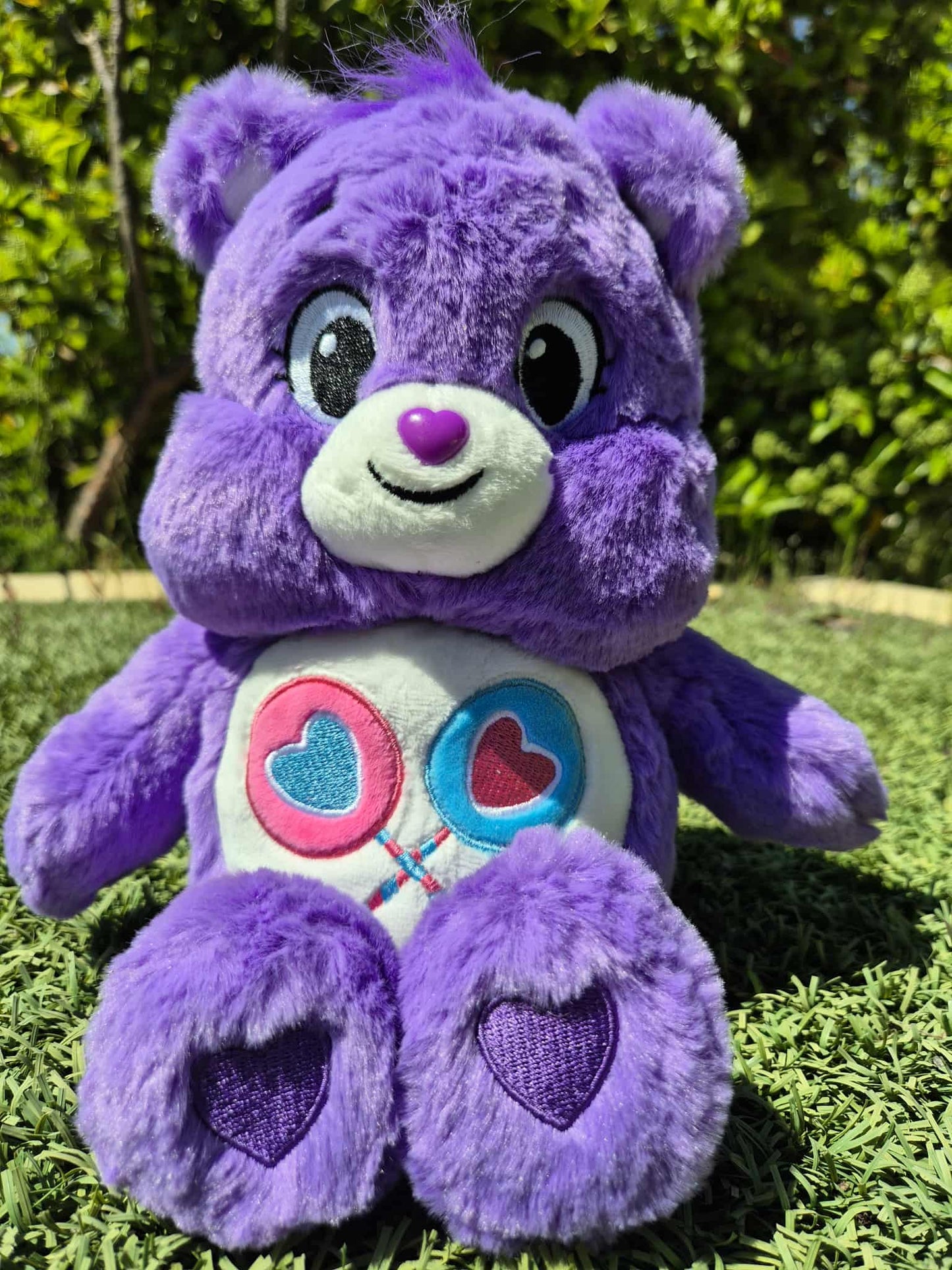 C BEAR TEDDIES